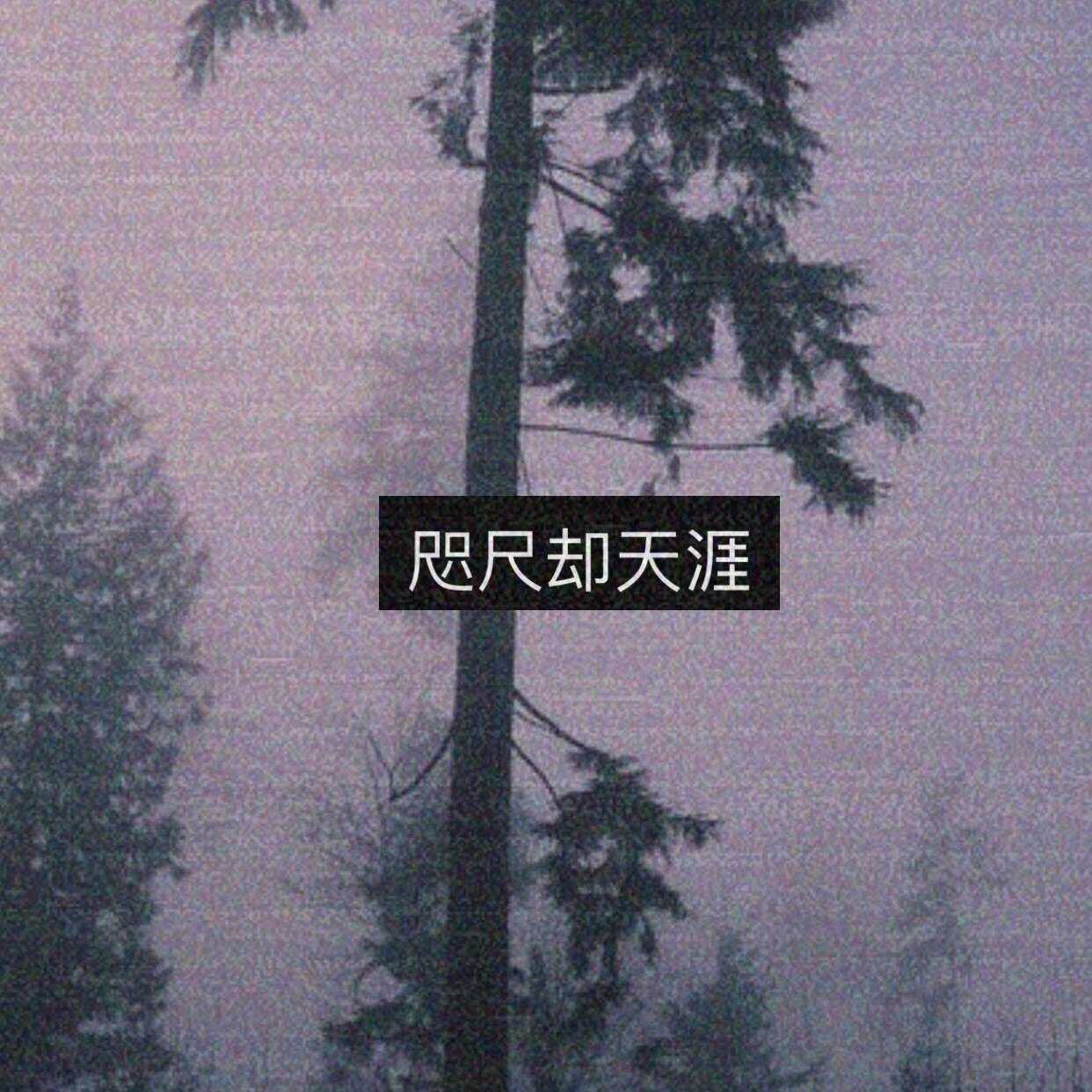 咫尺却天涯