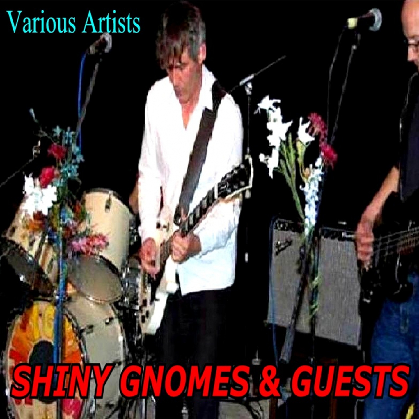 Shiny Gnomes & Guests