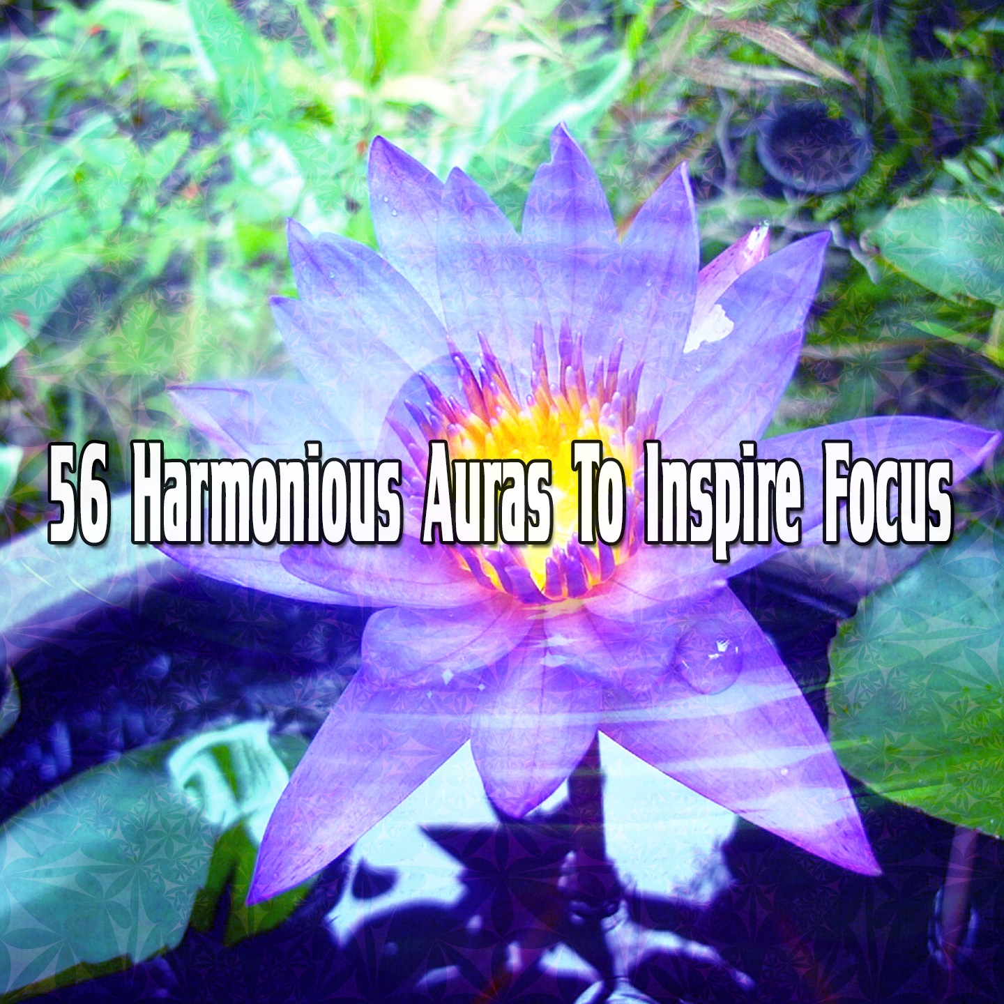 56 Harmonious Auras To Inspire Focus