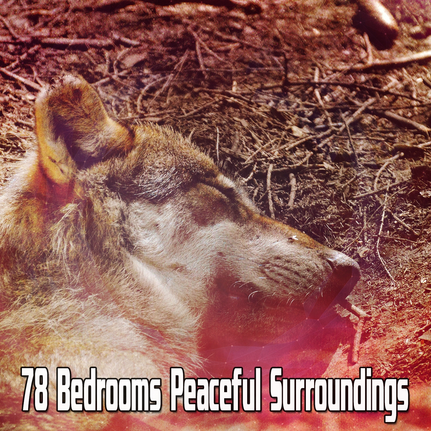 78 Bedrooms Peaceful Surroundings