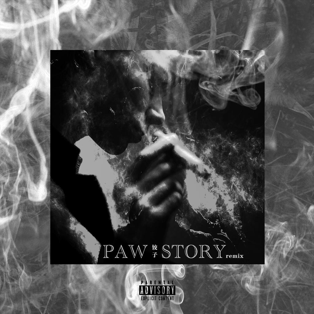 PAW Story Remix