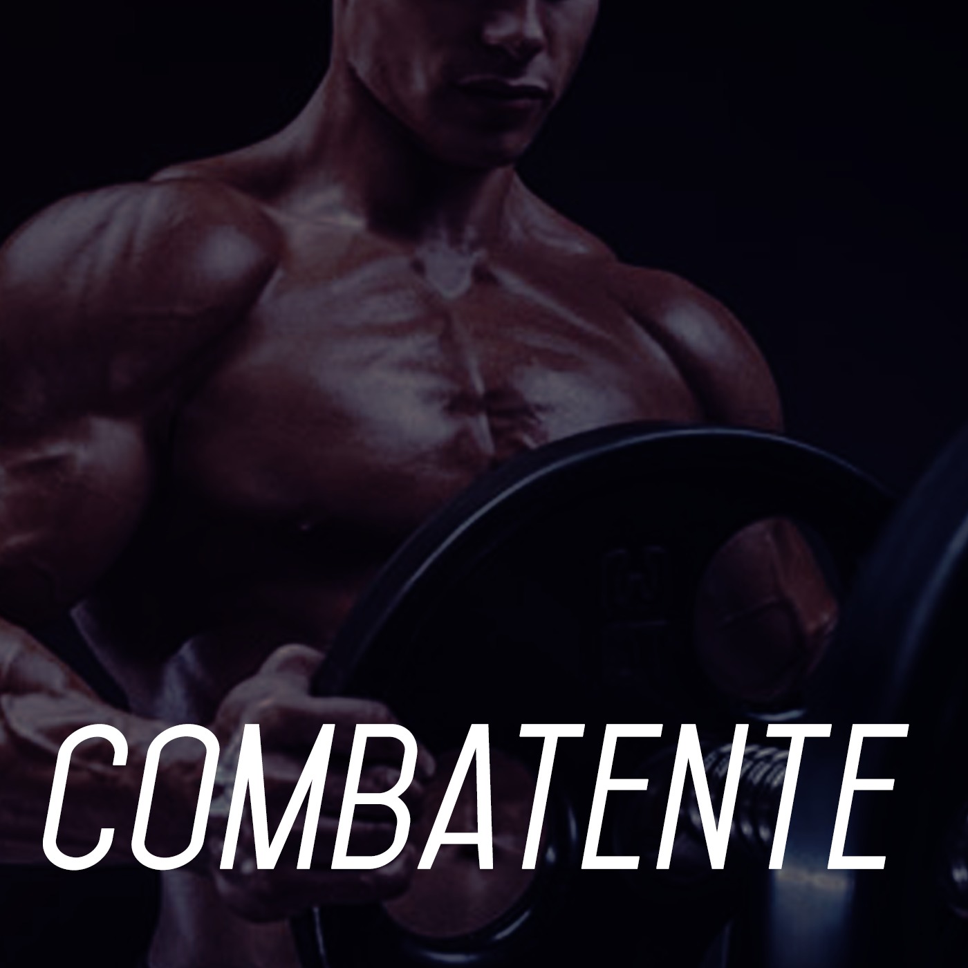 Combatente