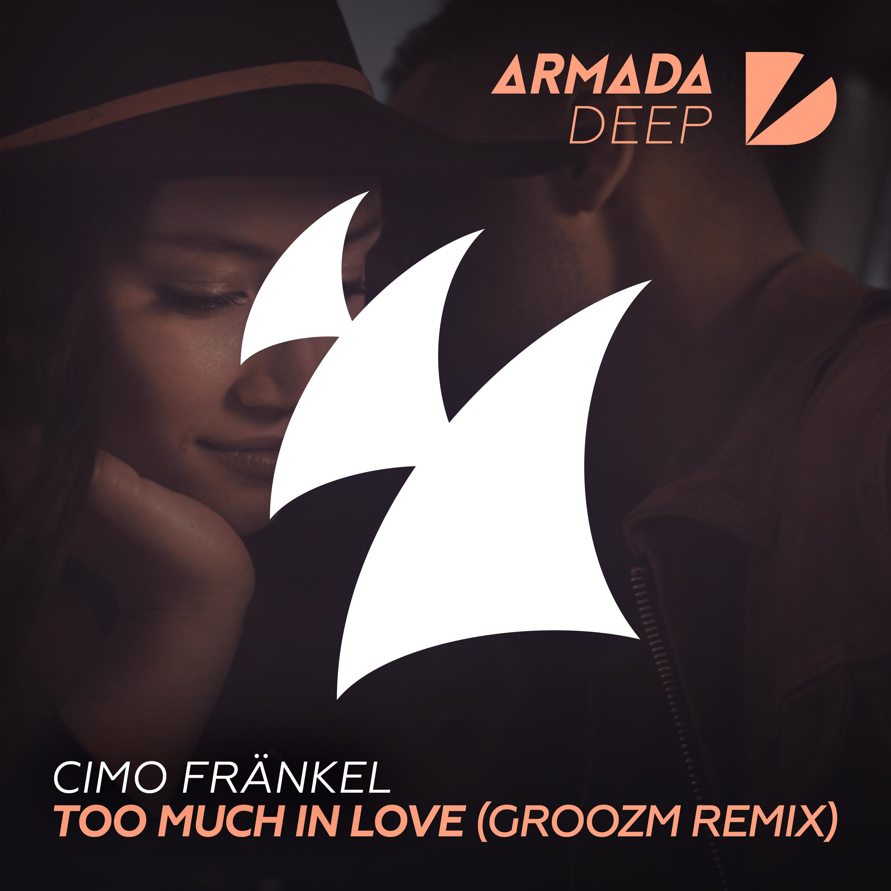 Too Much In Love (GROOZM Extended Remix)