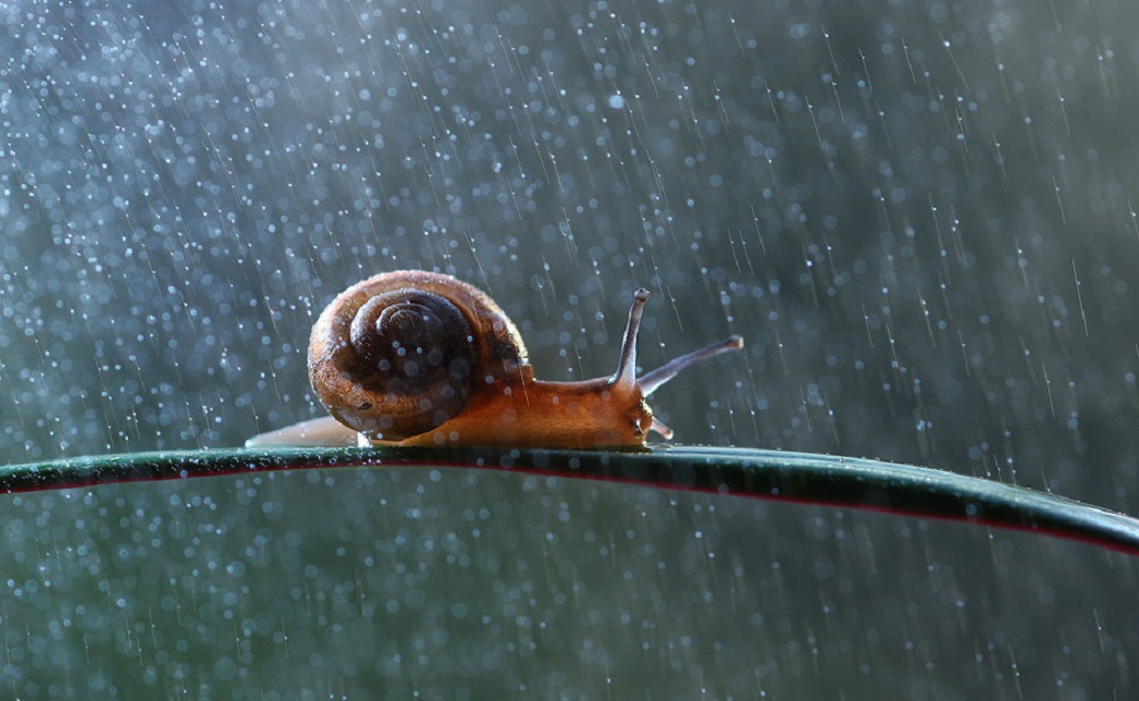 雨中漫步