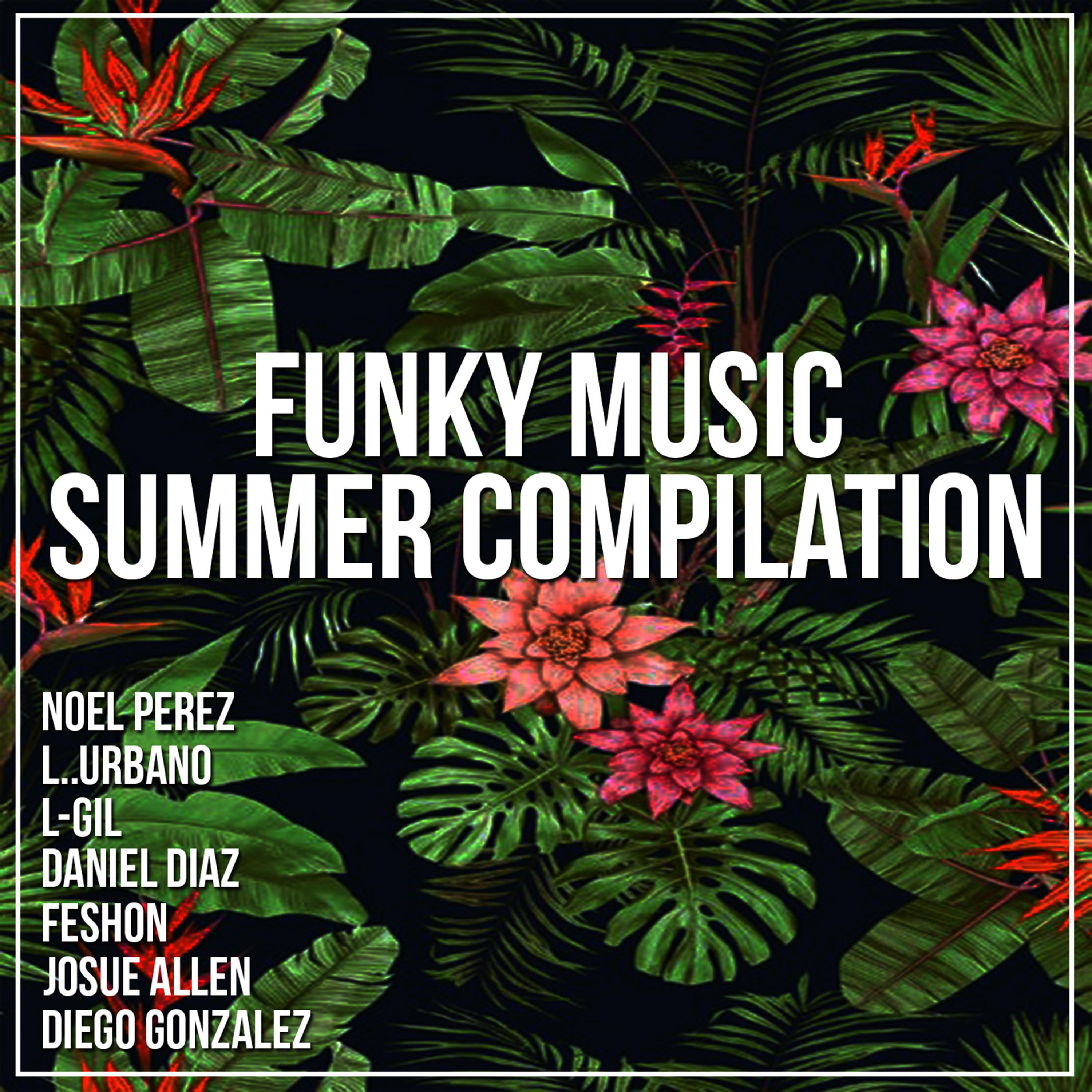 Funky Music Summer Compilation