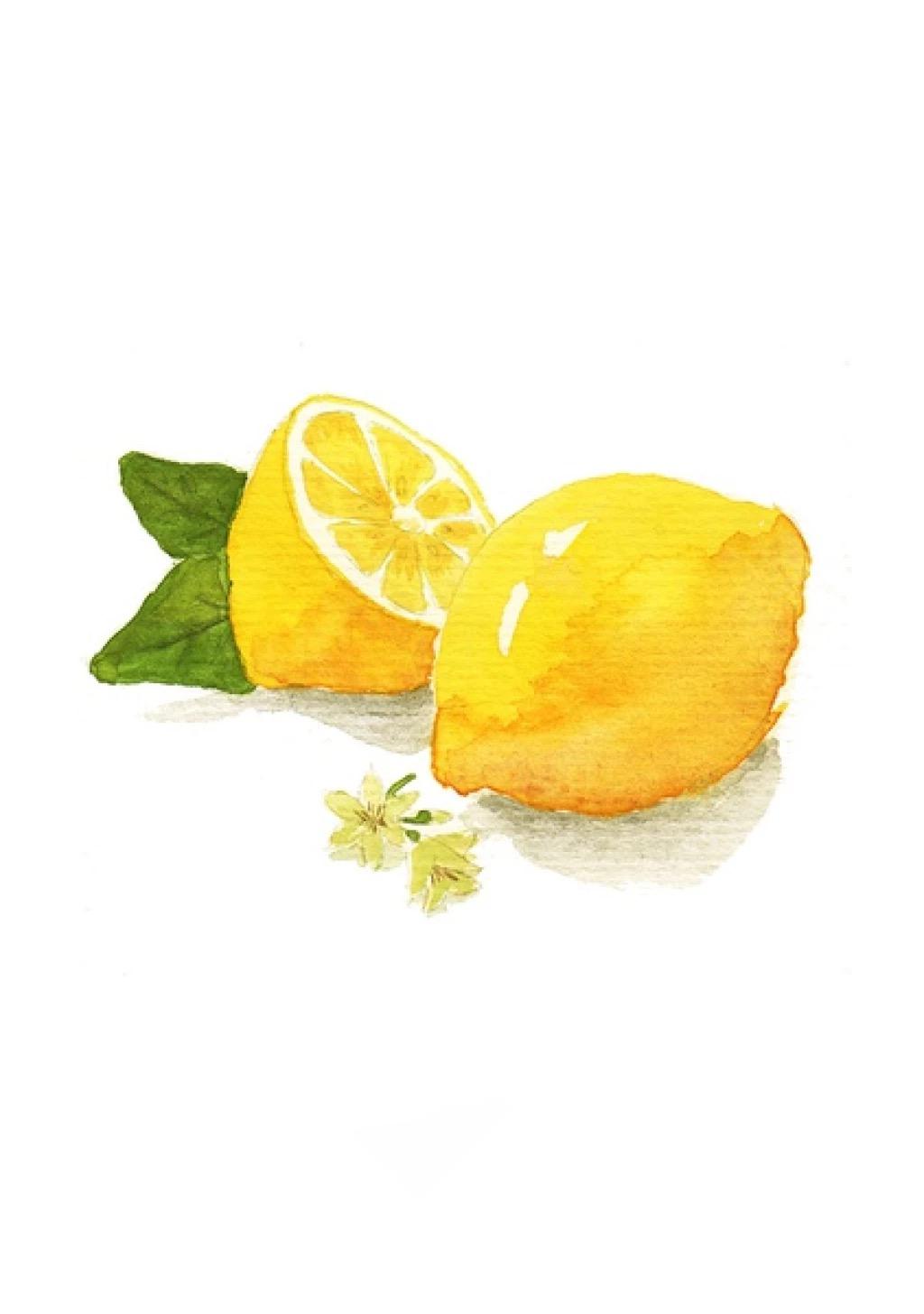 lemon（Cover 米津玄師）