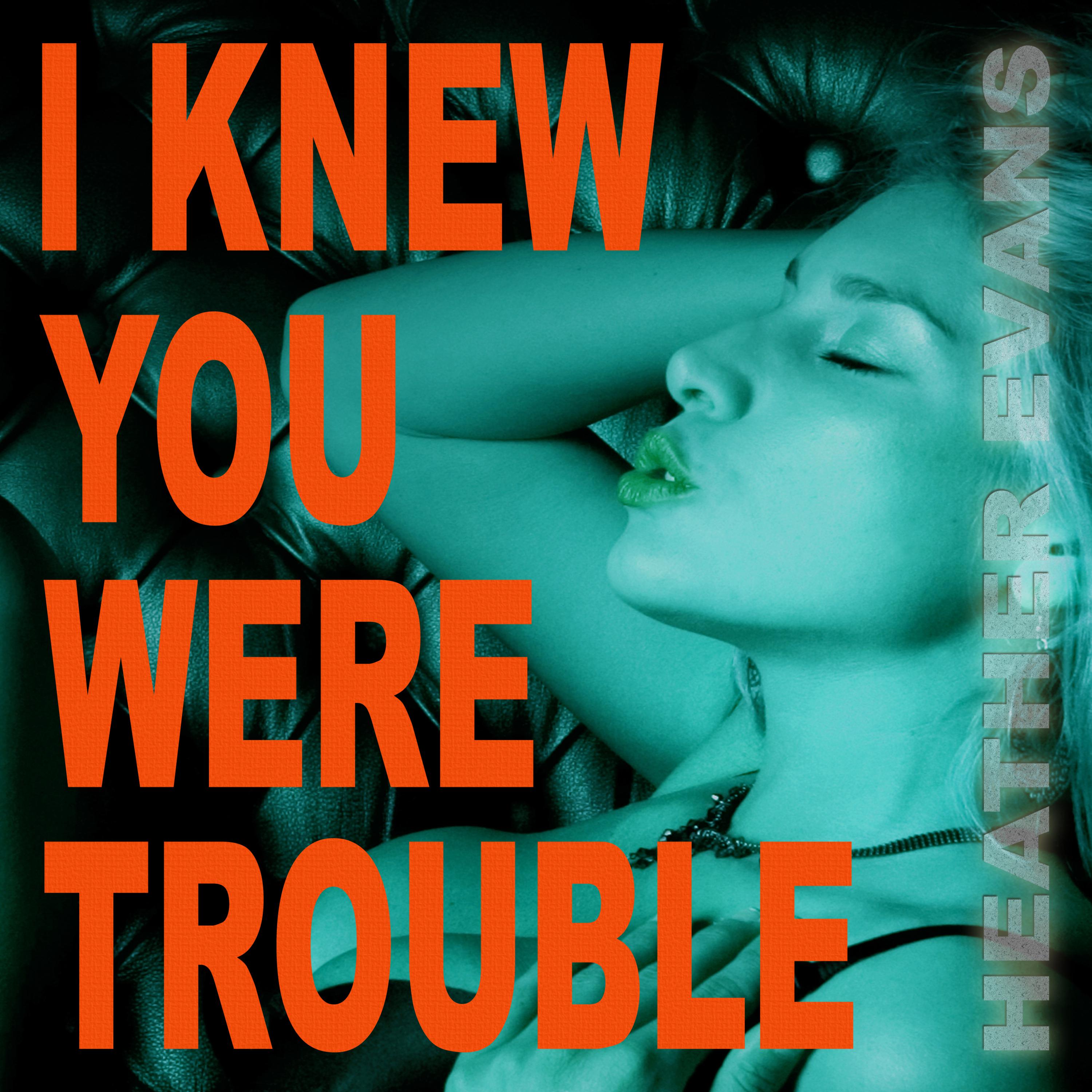 I Knew You Were Trouble (Instrumental Karaoke Extended)