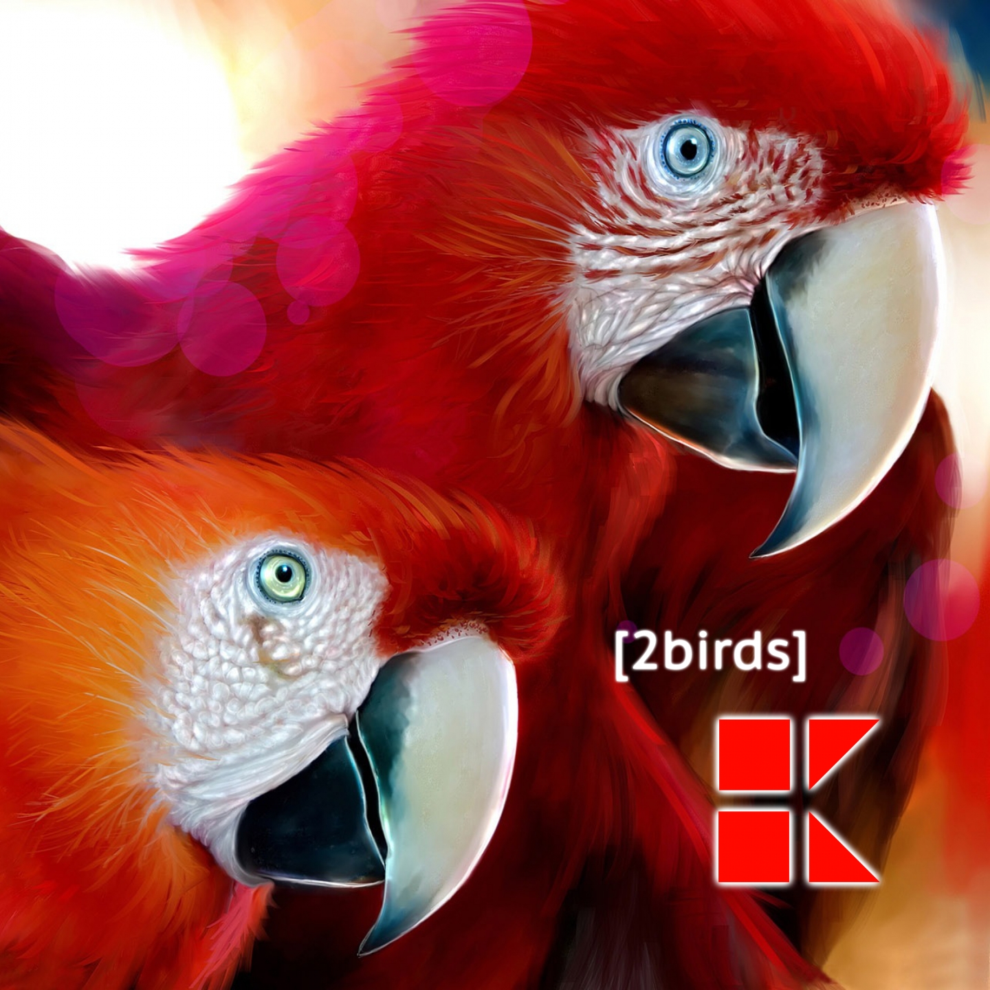 2BIRDS (Extended Mix)