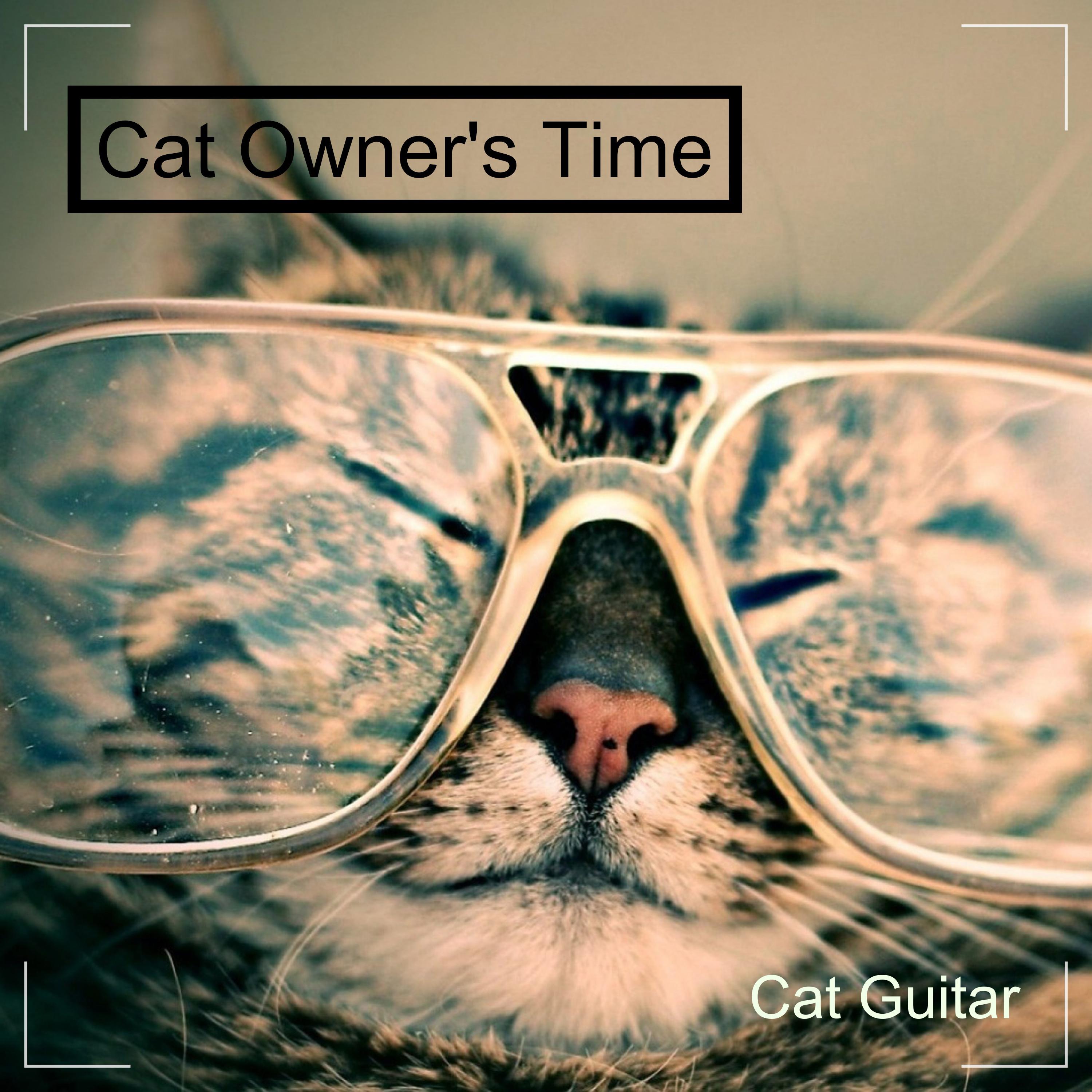 Cat Owner's Time