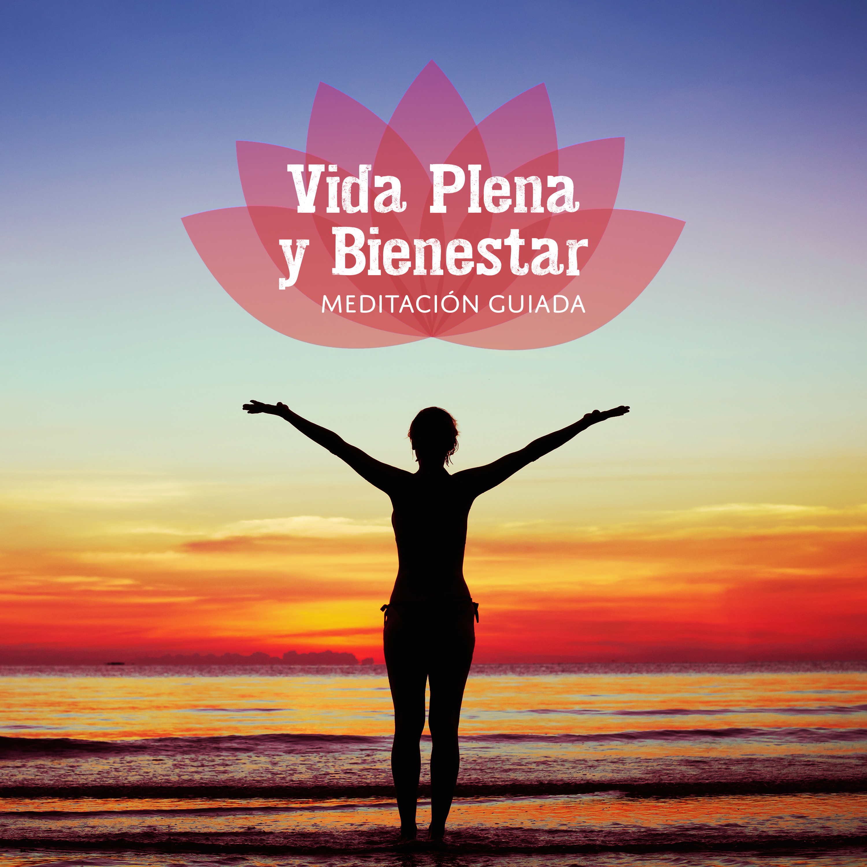 Vida Plena y Bienestar