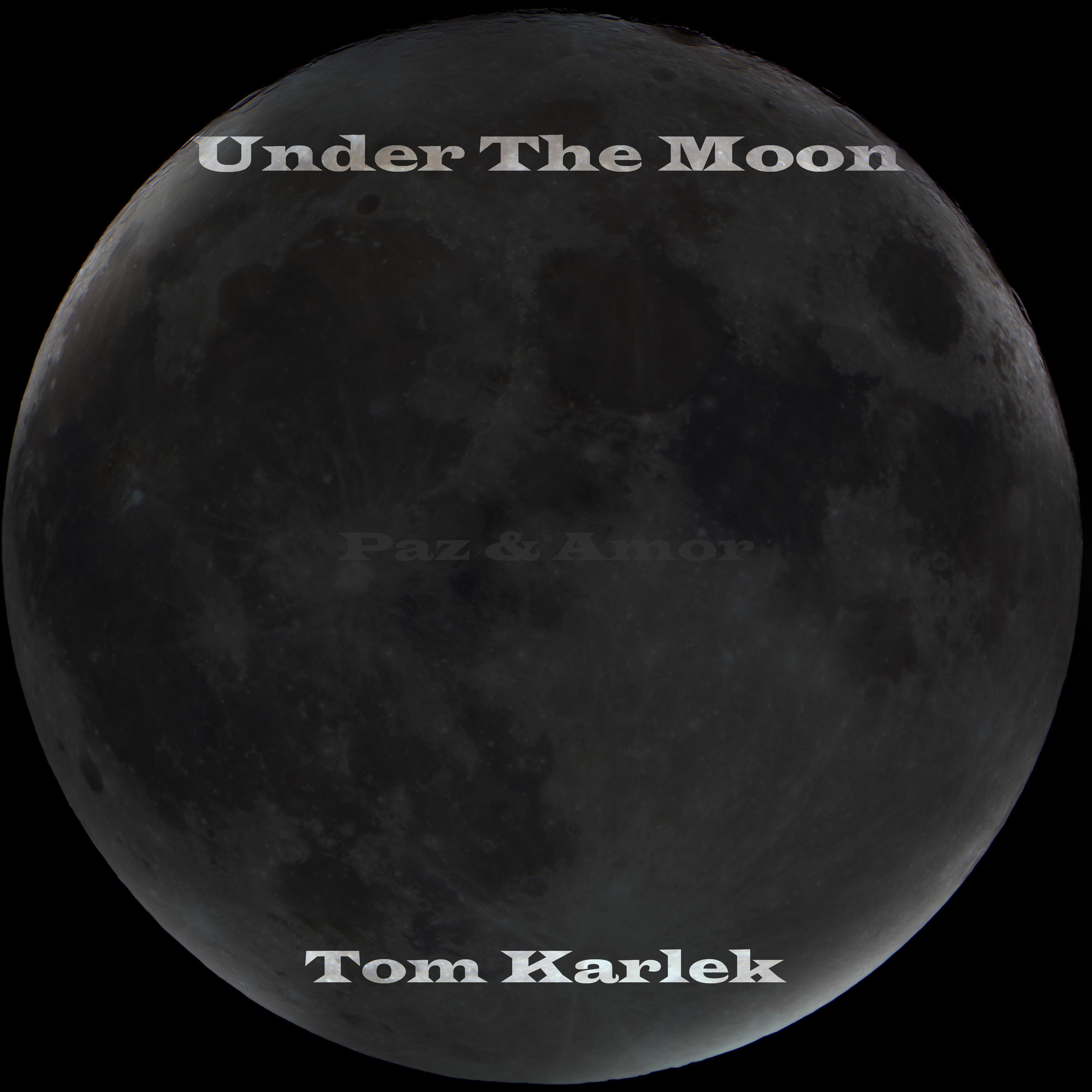 Under the Moon