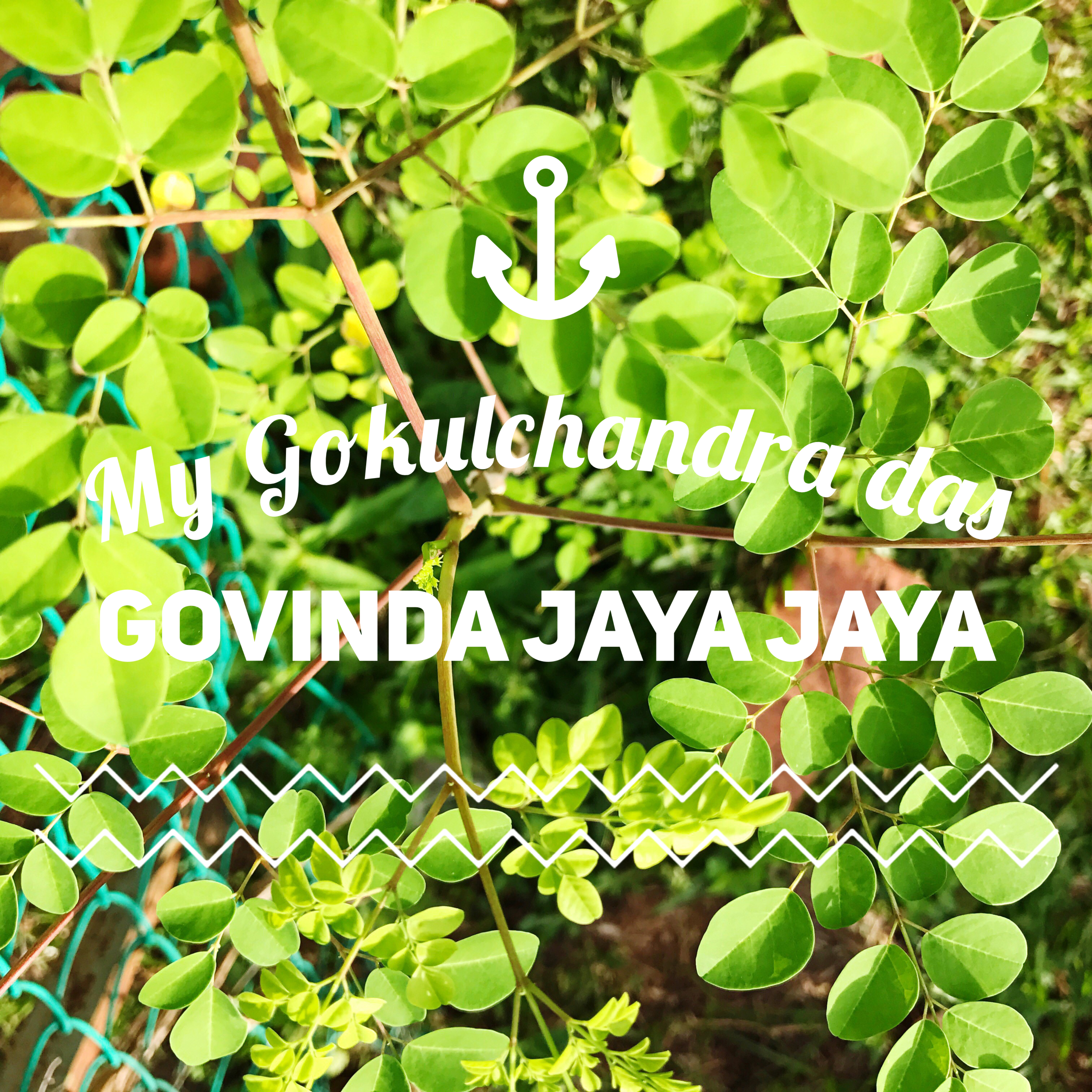 Govinda Jaya Jaya