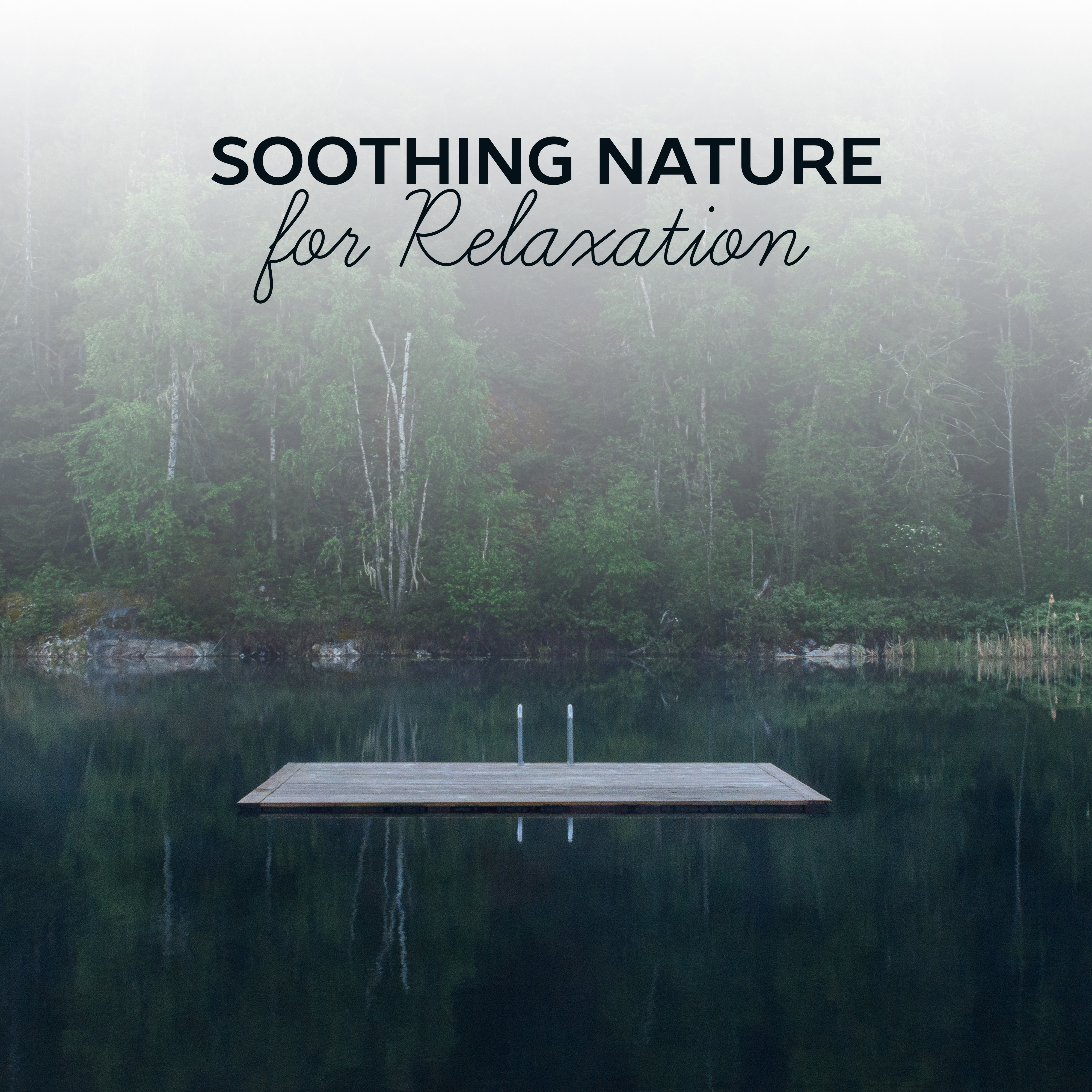 Soothing Nature for Relaxation – Most Beautiful Nature Sounds, Singing Birds, Wind Waves, Soft Music