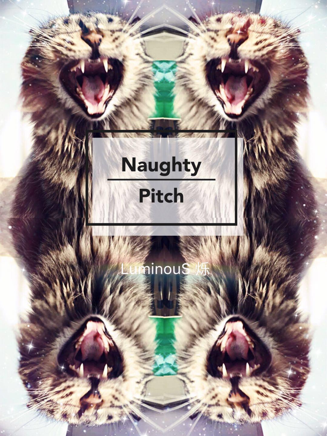 naughty pitch