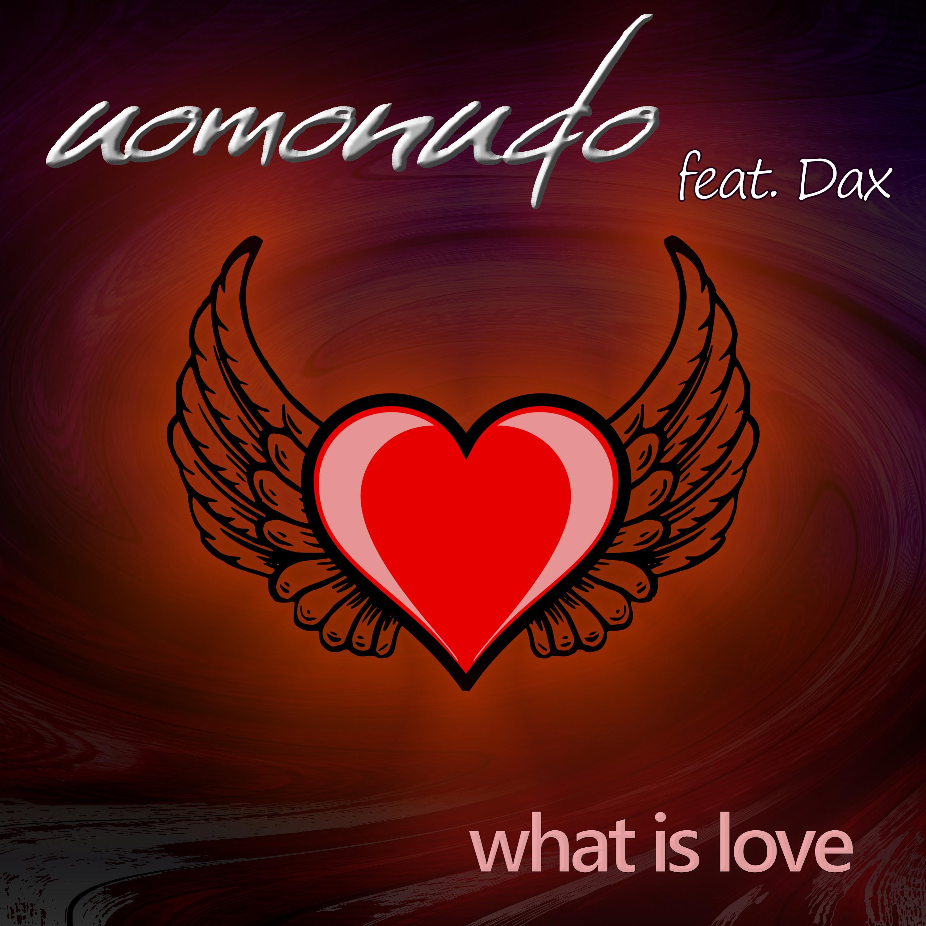 What Is Love (Ludodream Main Mix)