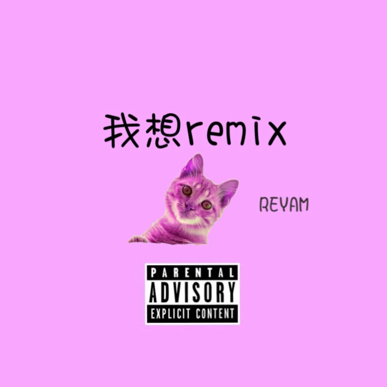 我想remix