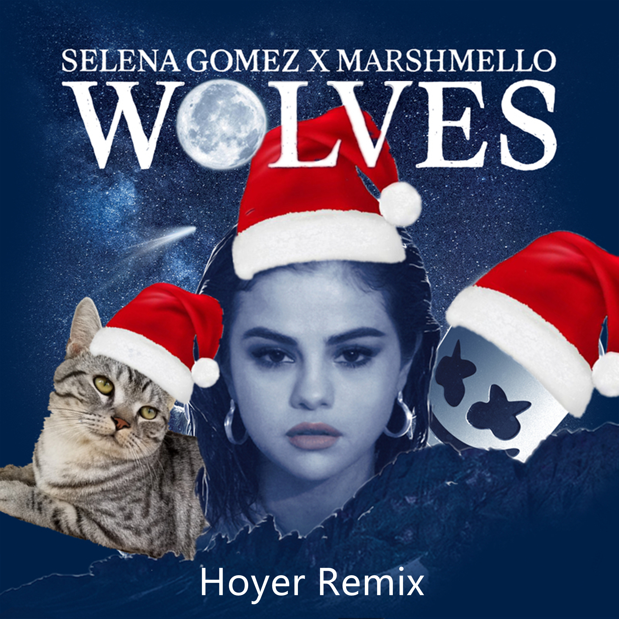 Wolves (Hoyer Bootleg)