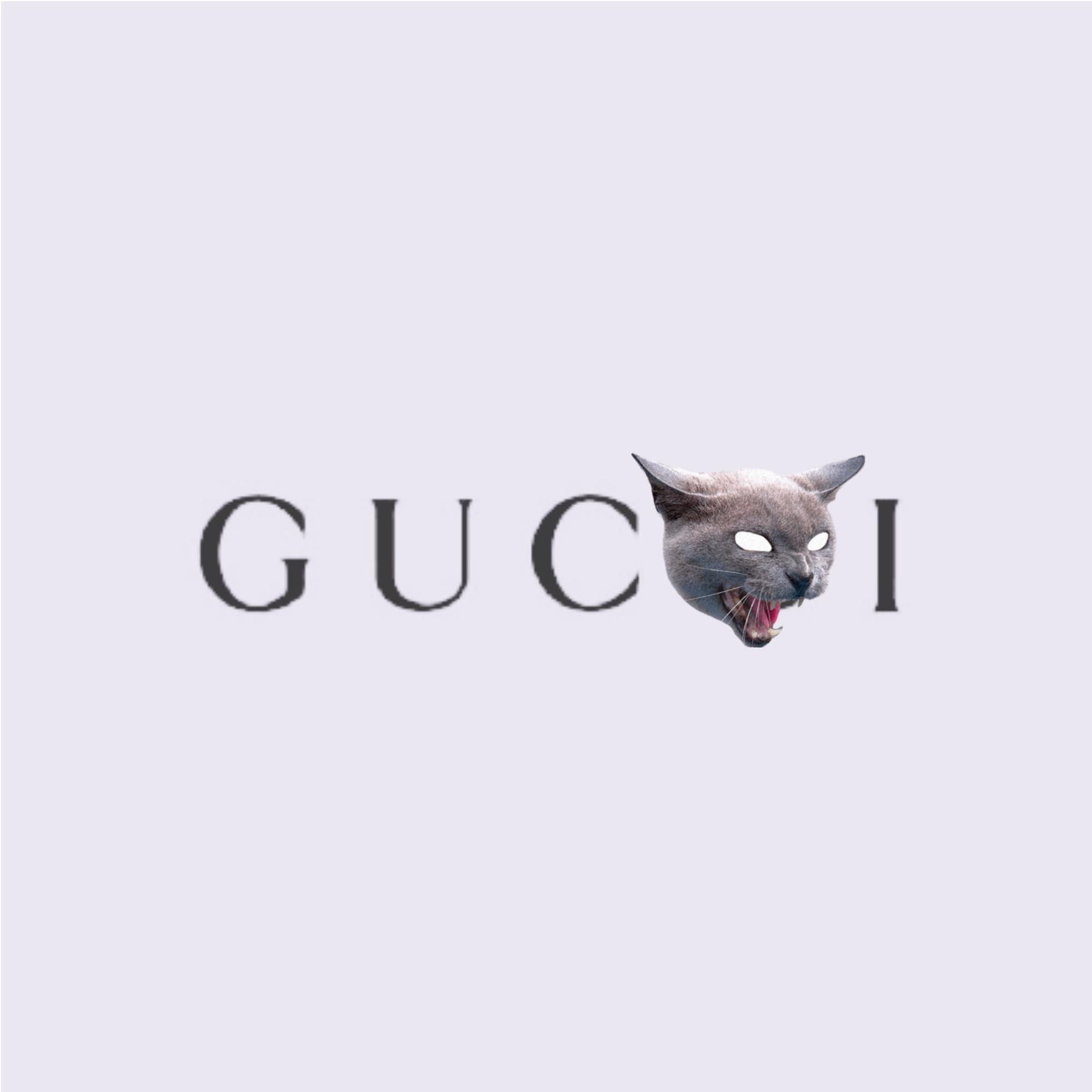 (可租)GUCCI CAT