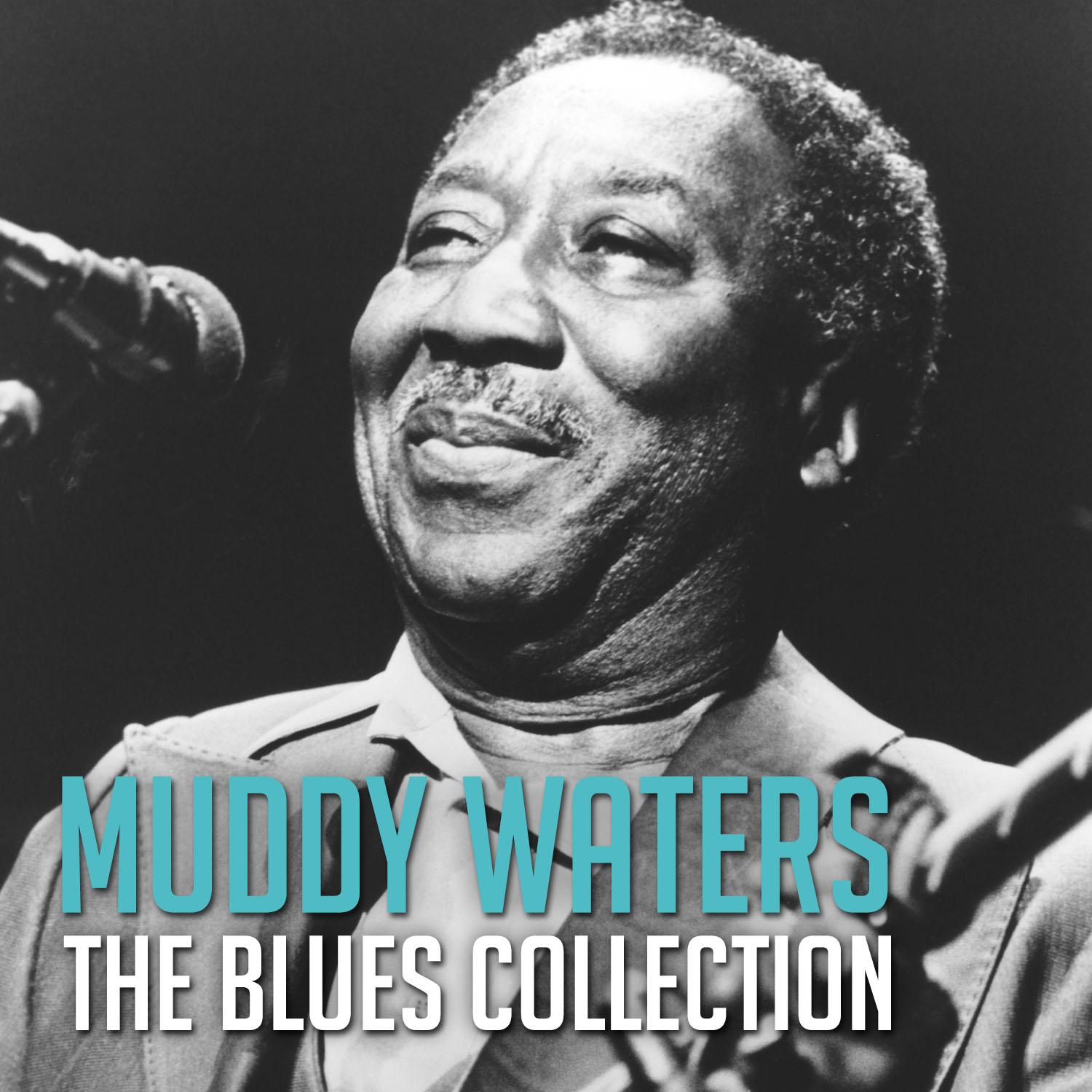 The Blues Collection: Muddy Waters
