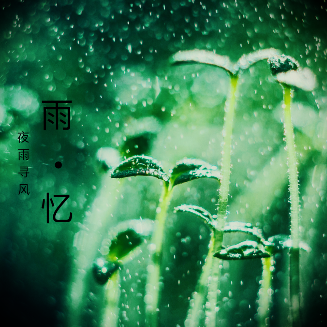 雨 •忆