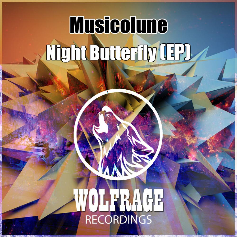 Night Butterfly