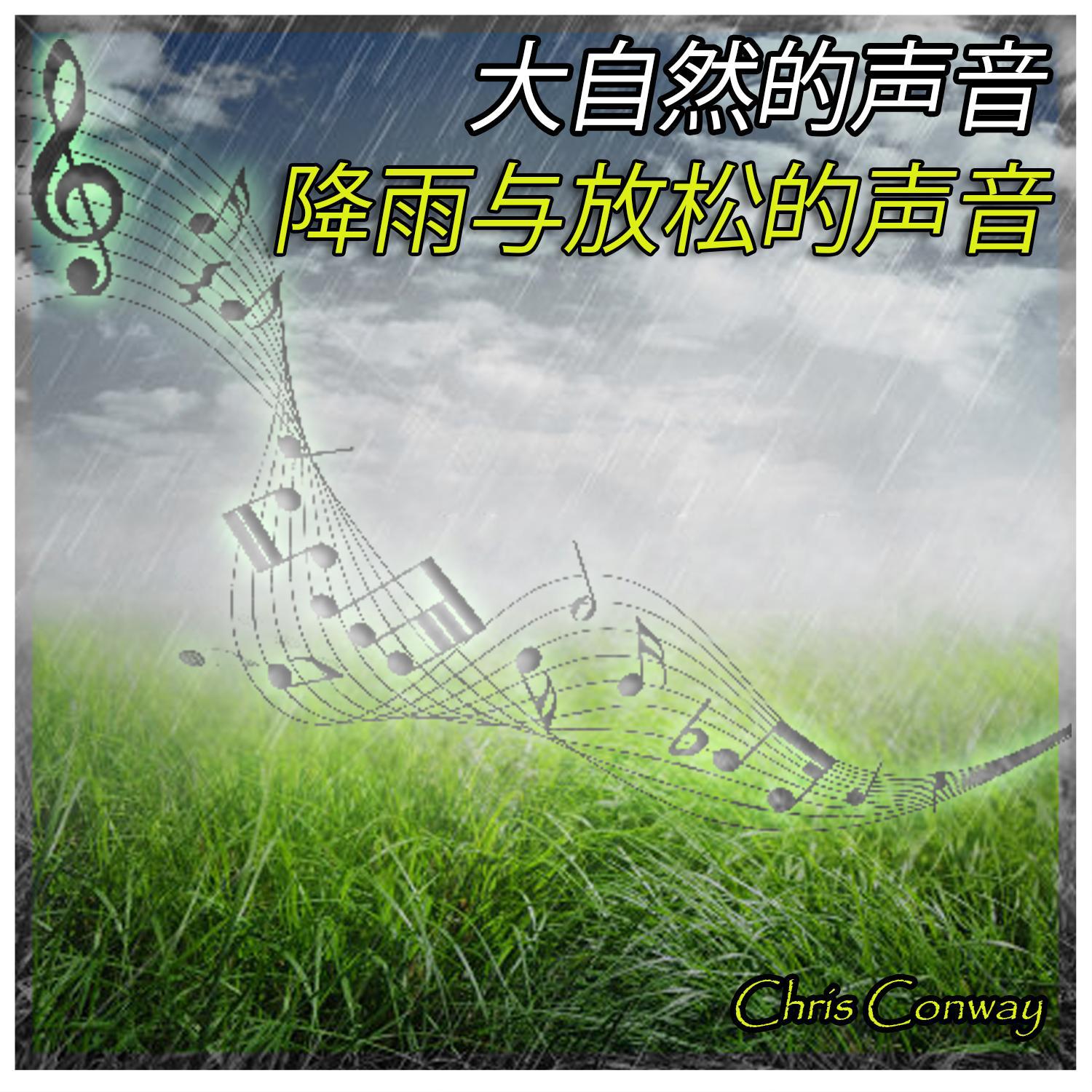 大自然的声音: 降雨与放松的声音