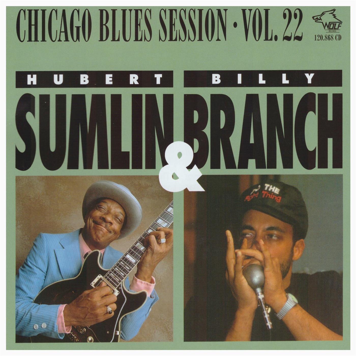 Chicago Blues Session Vol. 22