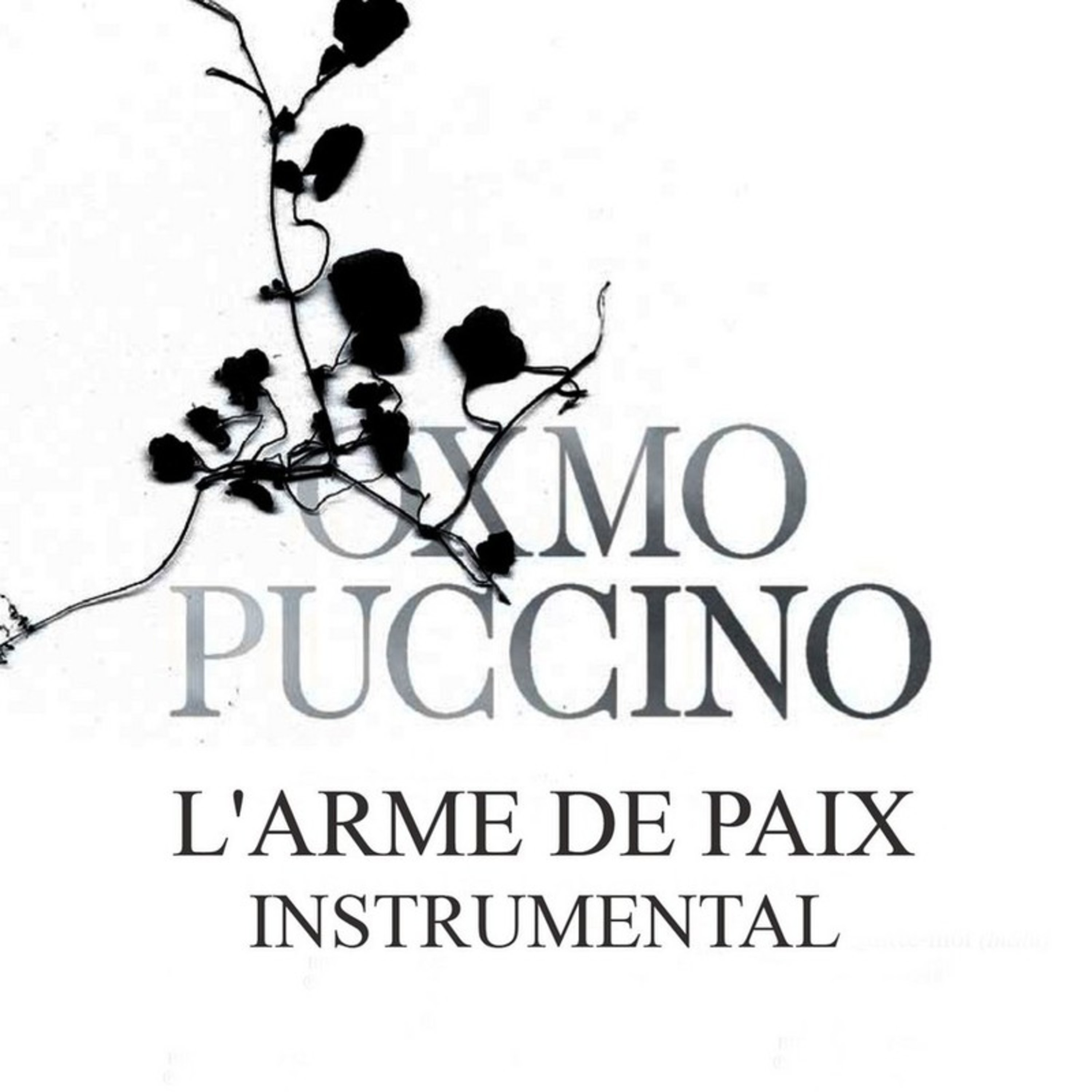 L'arme de paix (Instrumental version)