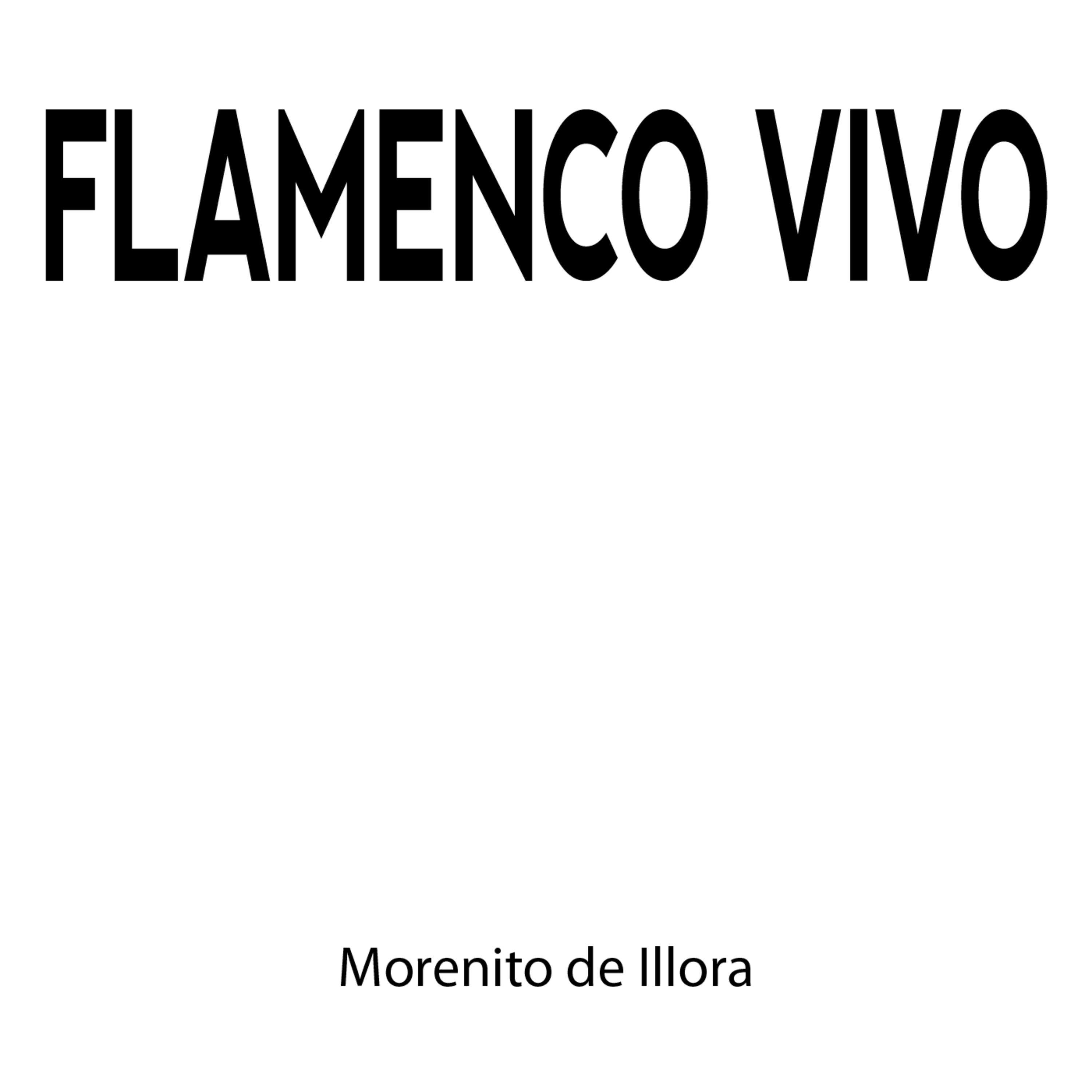 Flamenco Vivo