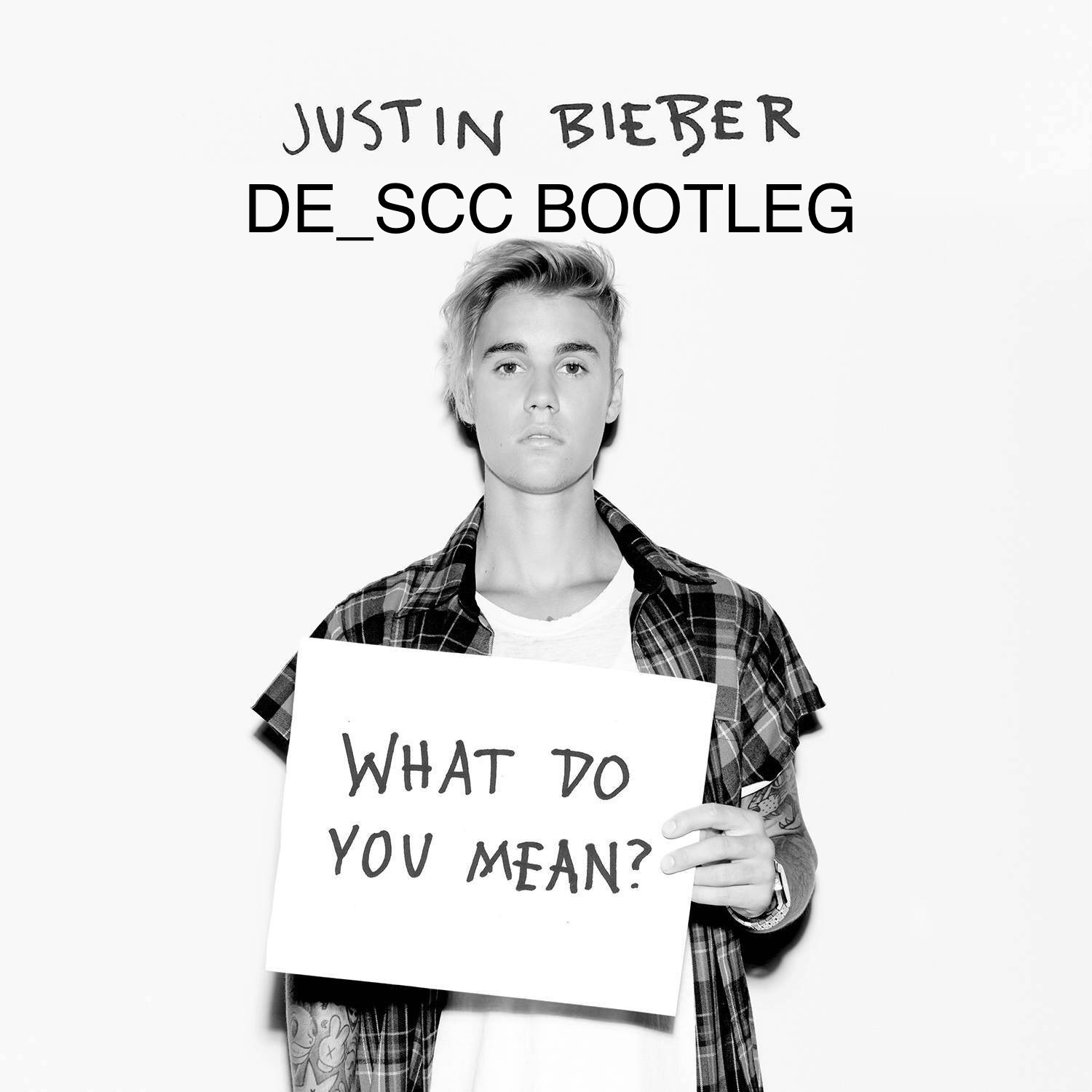 What Do You Mean (DE_SCC Bootleg)