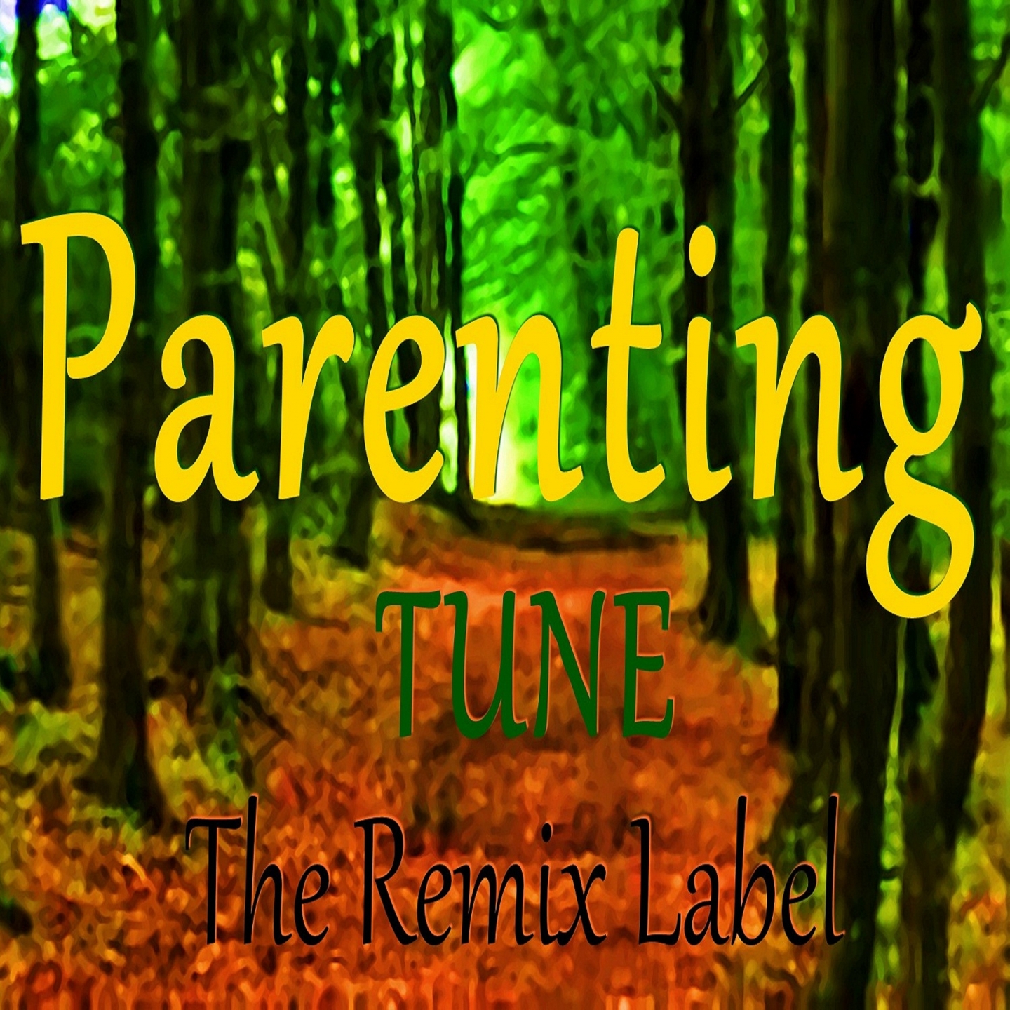 Parenting Track (1st Class Vibrant Deephouse Mix)