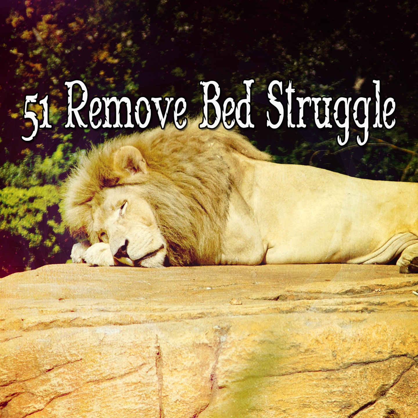 51 Remove Bed Struggle