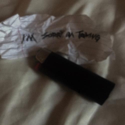 I'm sorry, I'm trying (prod. Masked man) 