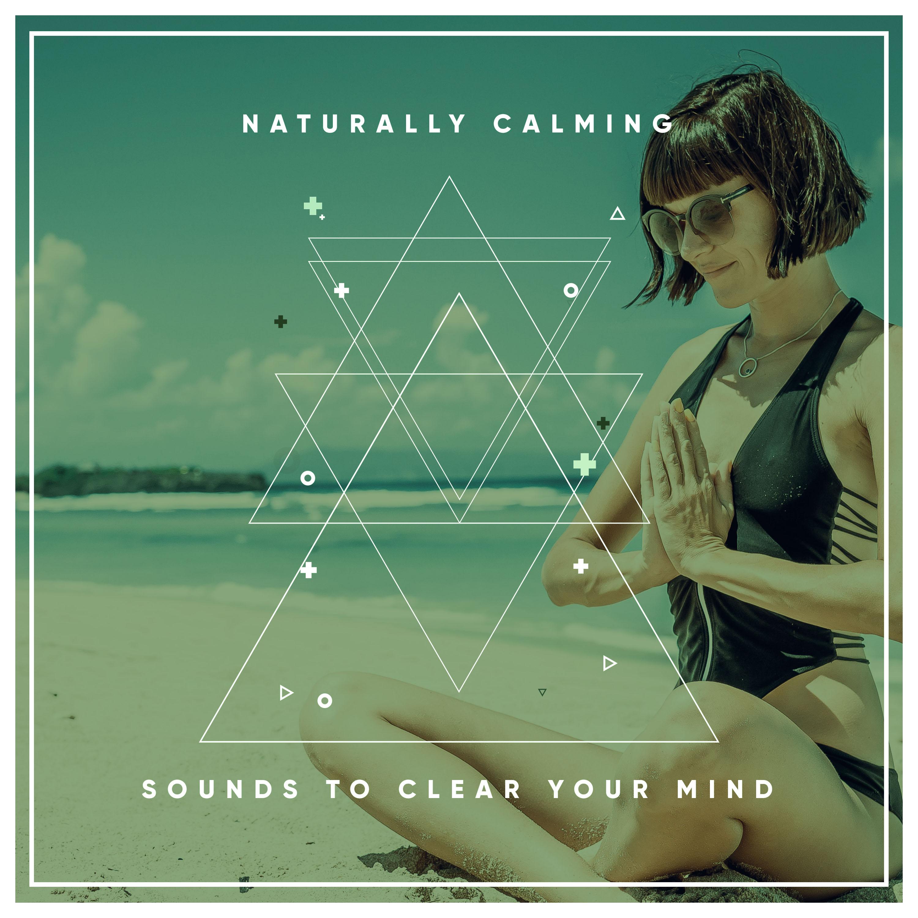 15 Naturally Calming Sounds to Clear your Mind