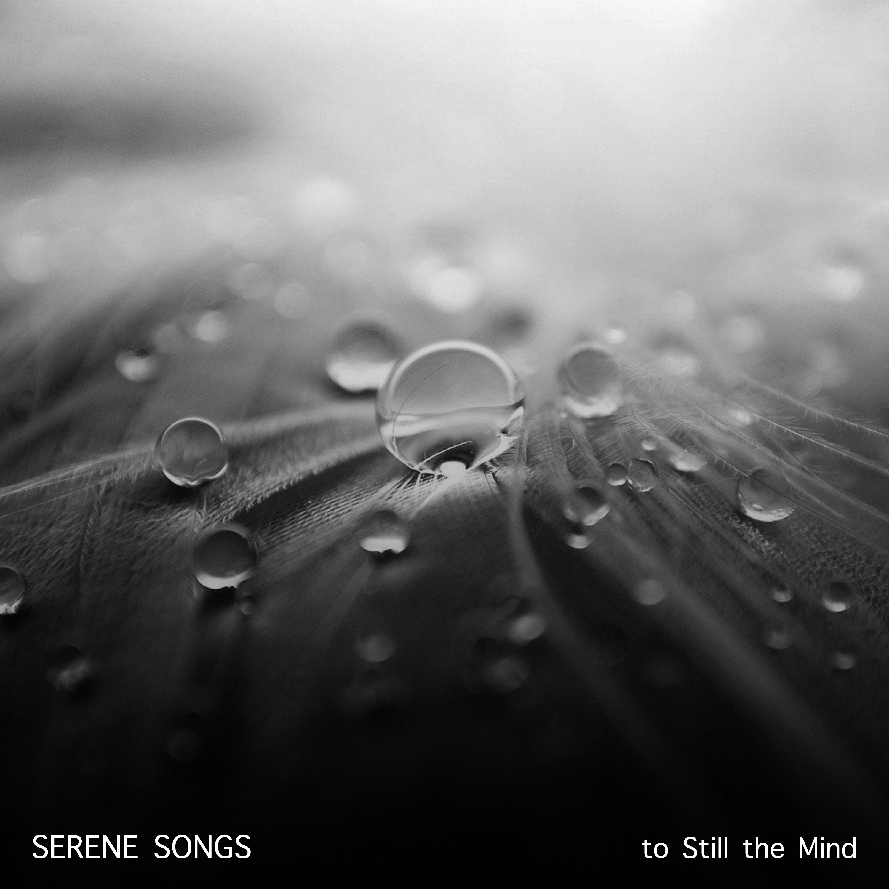 15 Serene Songs to Still the Mind