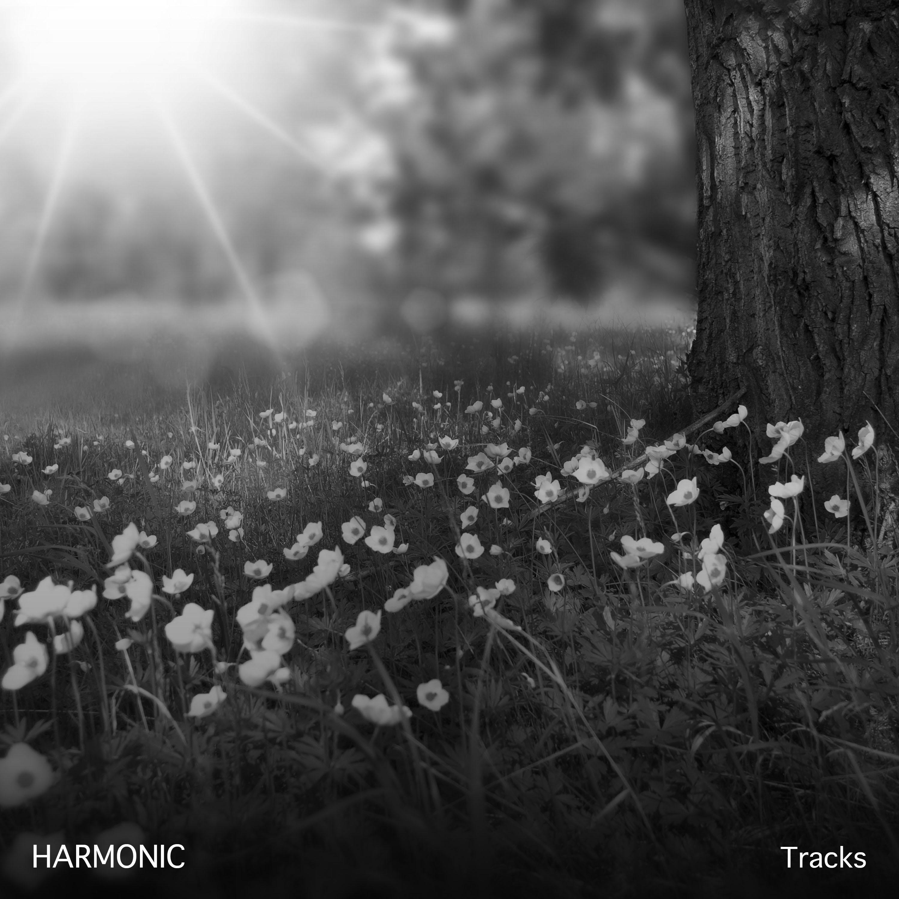 22 Harmonic Tracks for Chakra Balancing