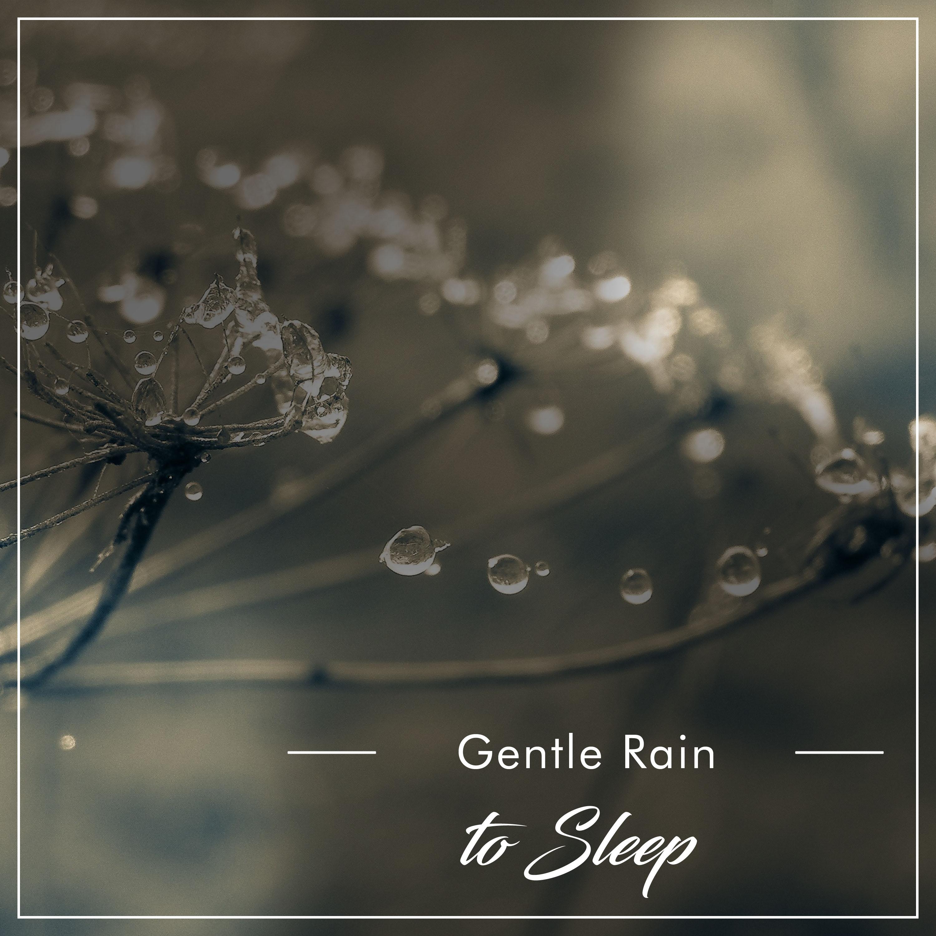 20 Gentle Rain Tracks to Sleep Eight Hours