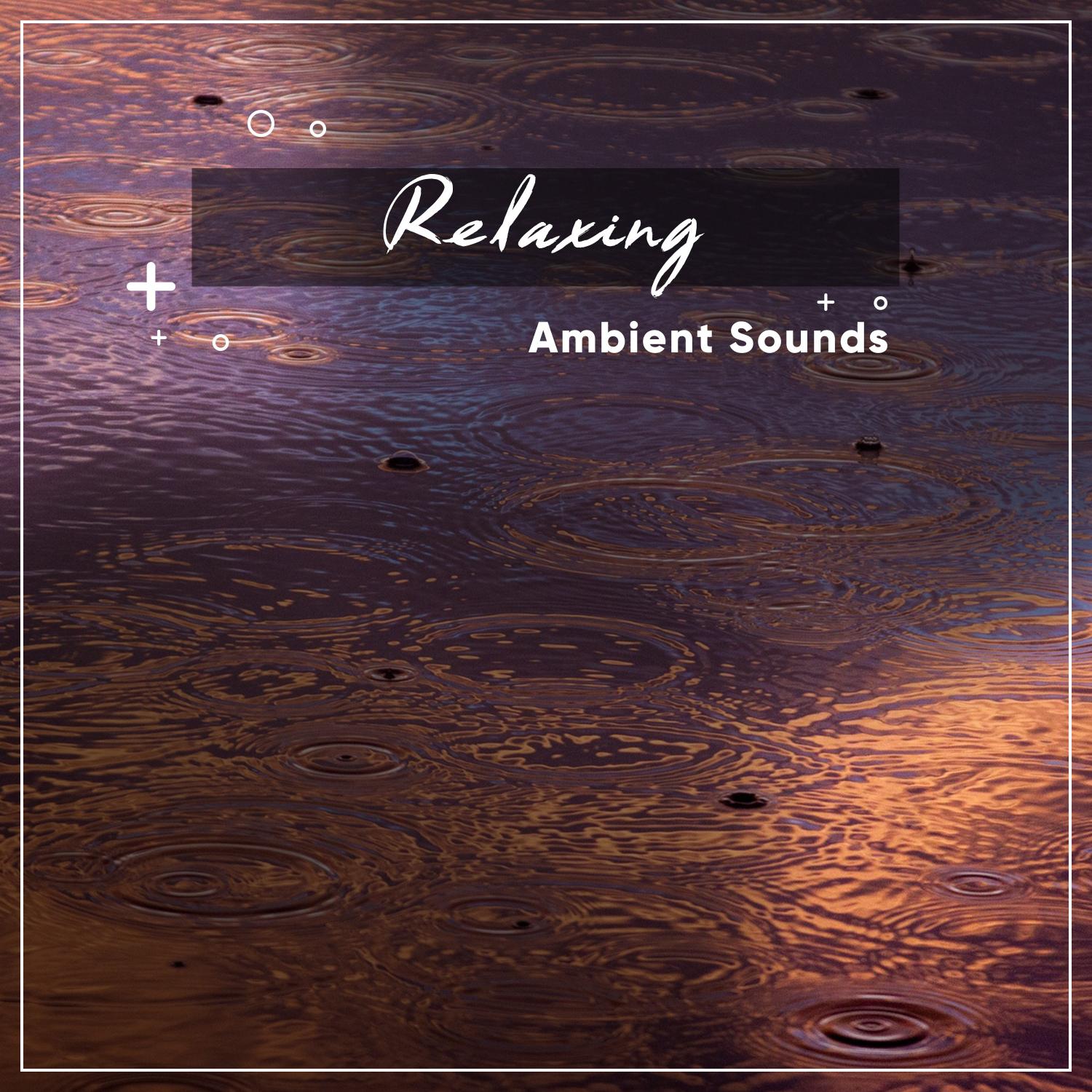 16 Relaxing Ambience Noises