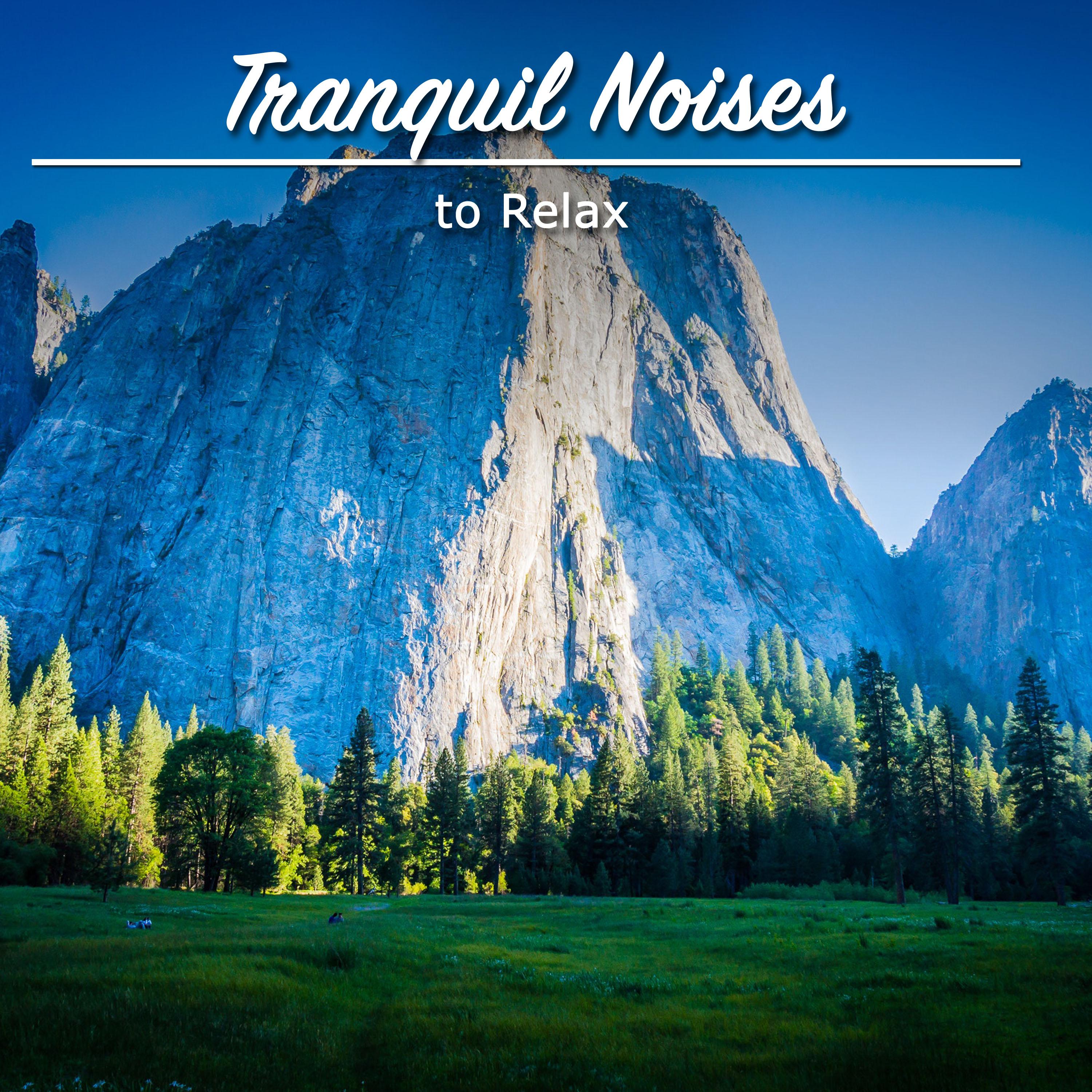 15 Tranquil Noises to Relax
