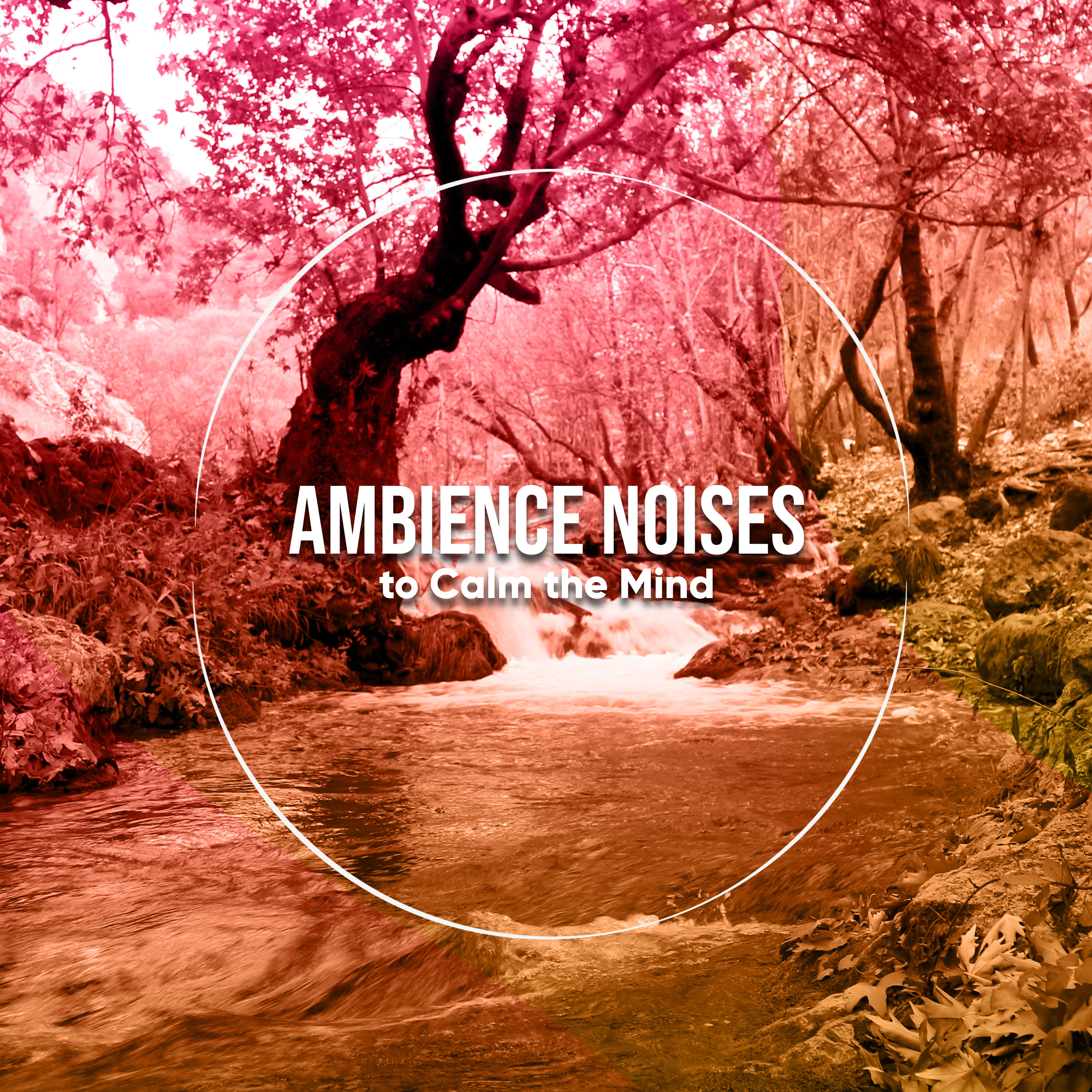 20 Loopable Ambience Noises to Calm the Mind