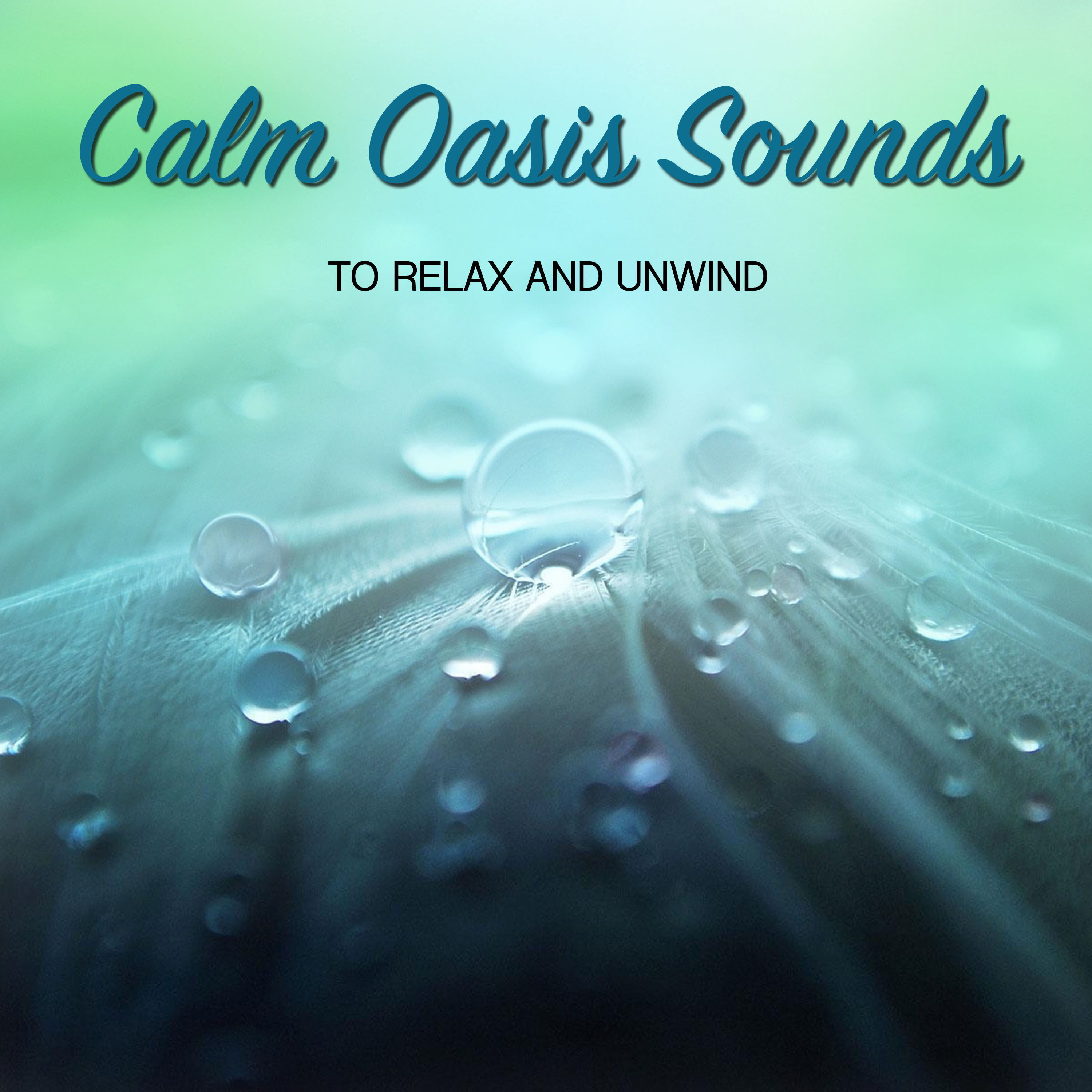 12 Calm Oasis Sounds to Relax and Unwind