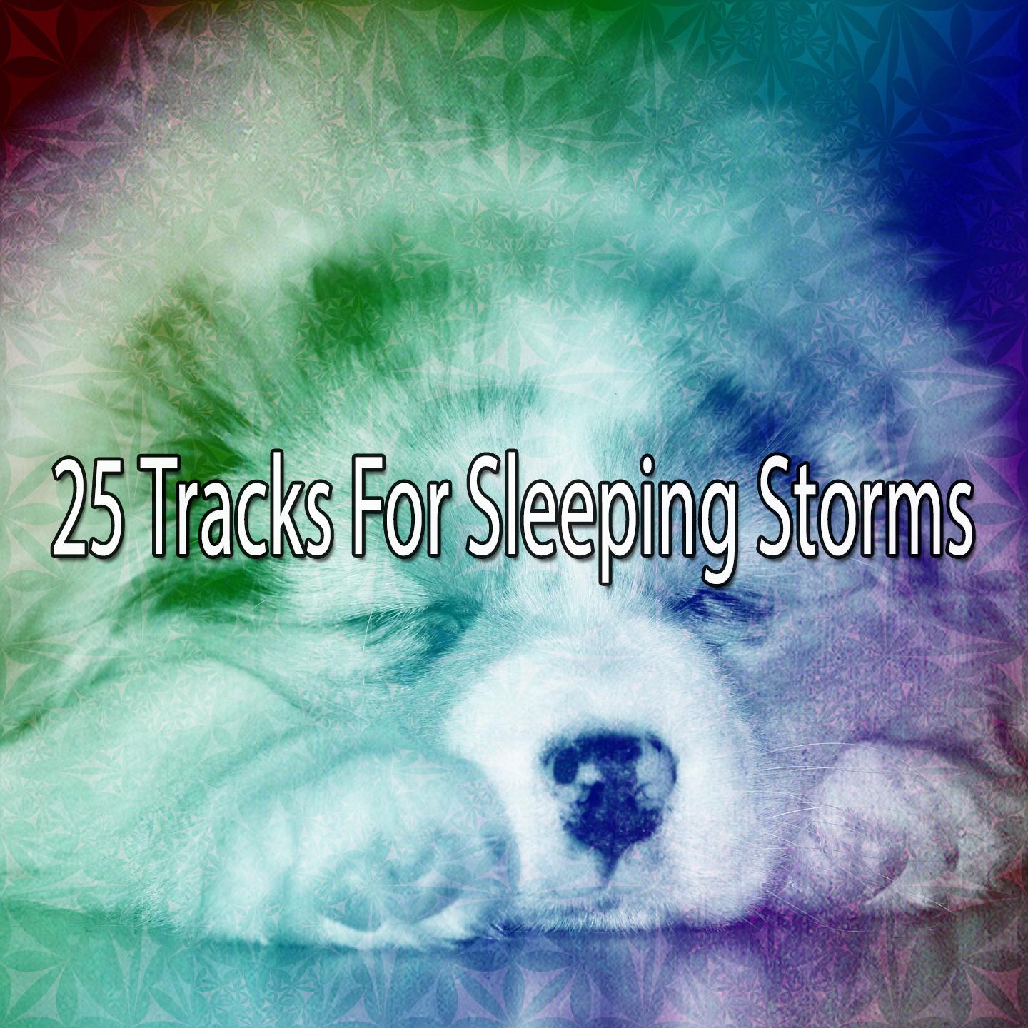25 Tracks For Sleeping Storms