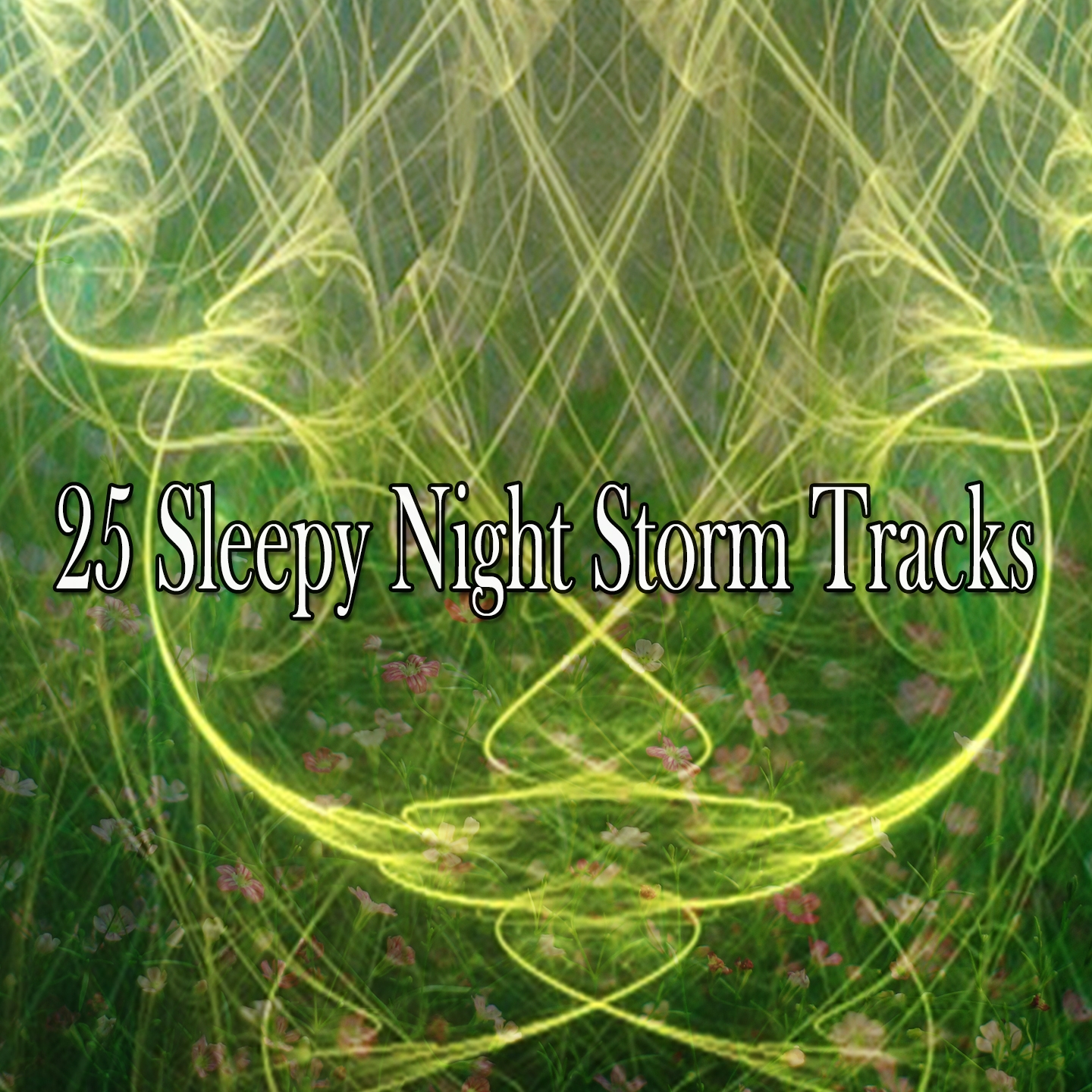 25 Sleepy Night Storm Tracks
