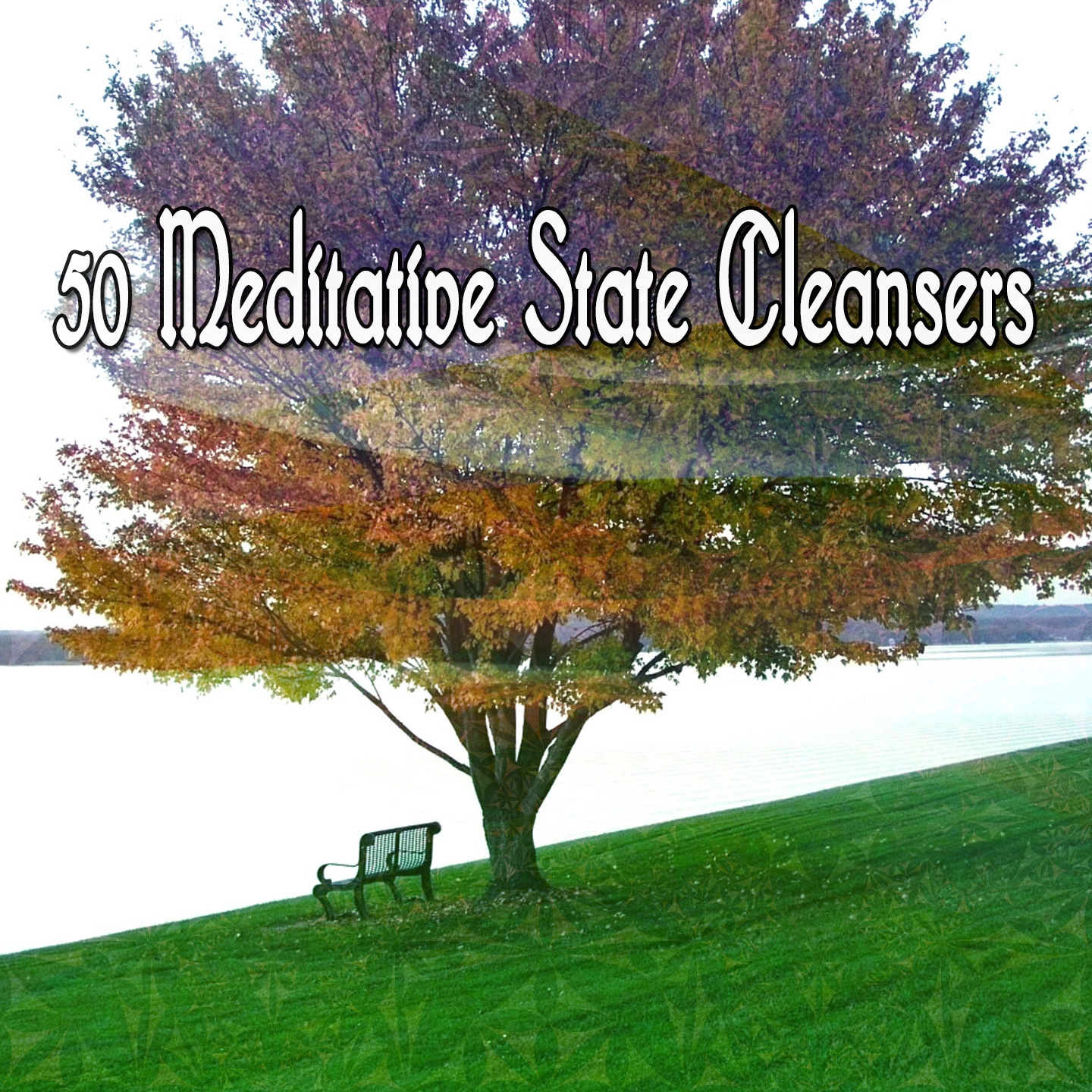 50 Meditative State Cleansers