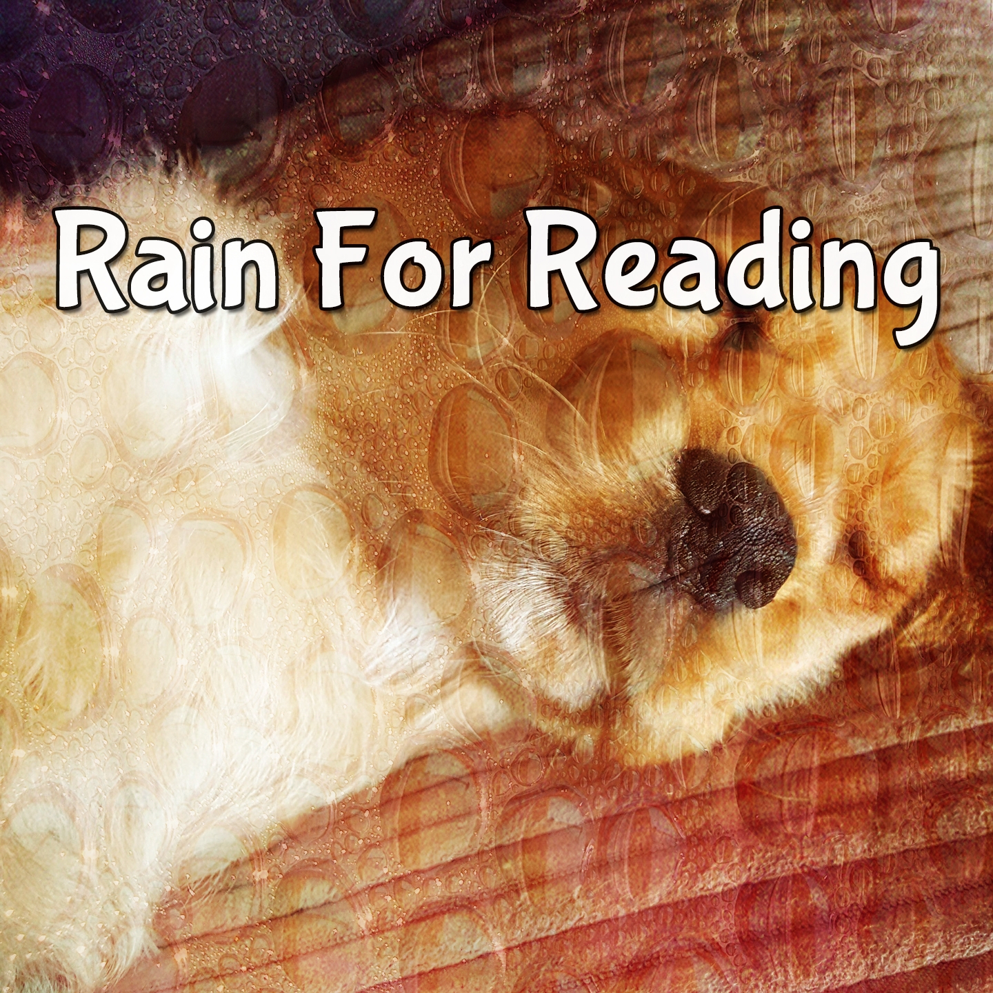 Rain For Reading