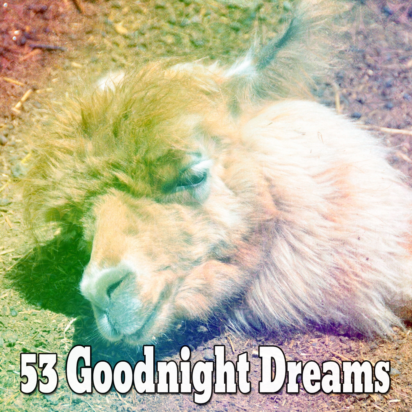 53 Goodnight Dreams