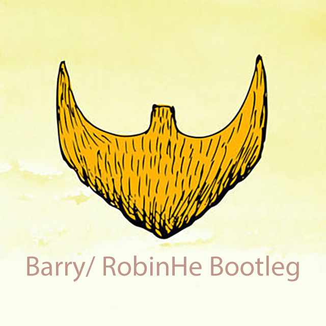 Your Skin (Barry/ RobinHe Bootleg)