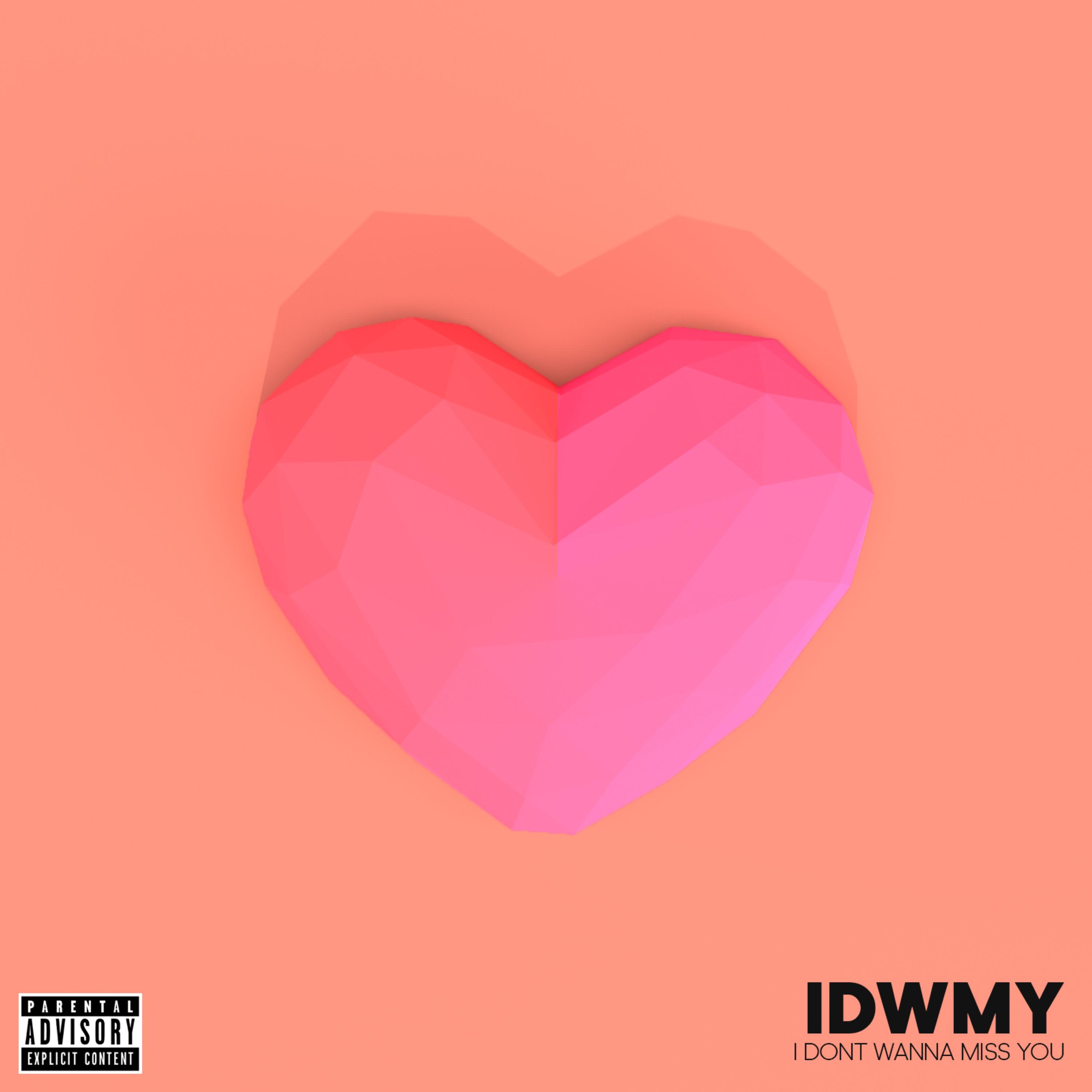 Idwmy (I Don't Wanna Miss You)