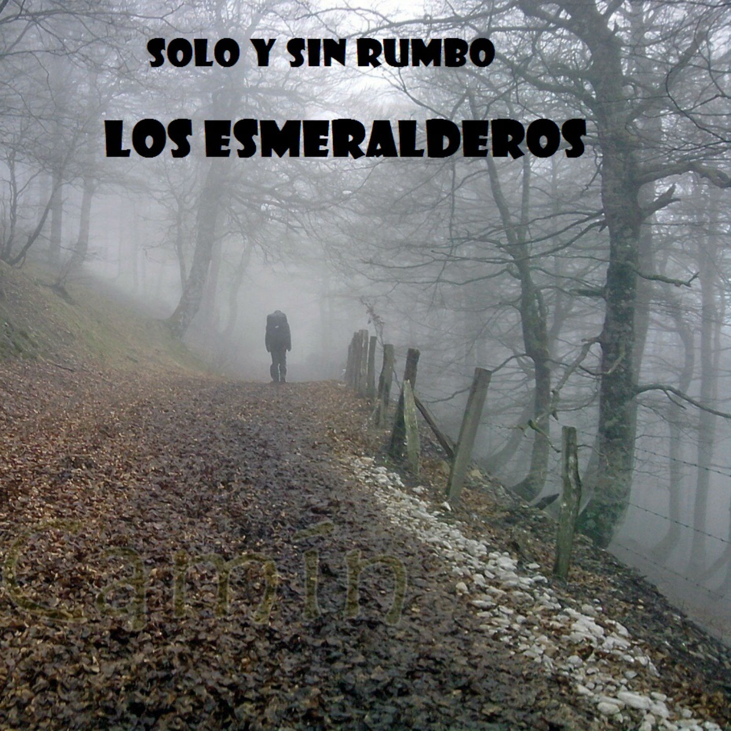 Solo Sin Rumbo