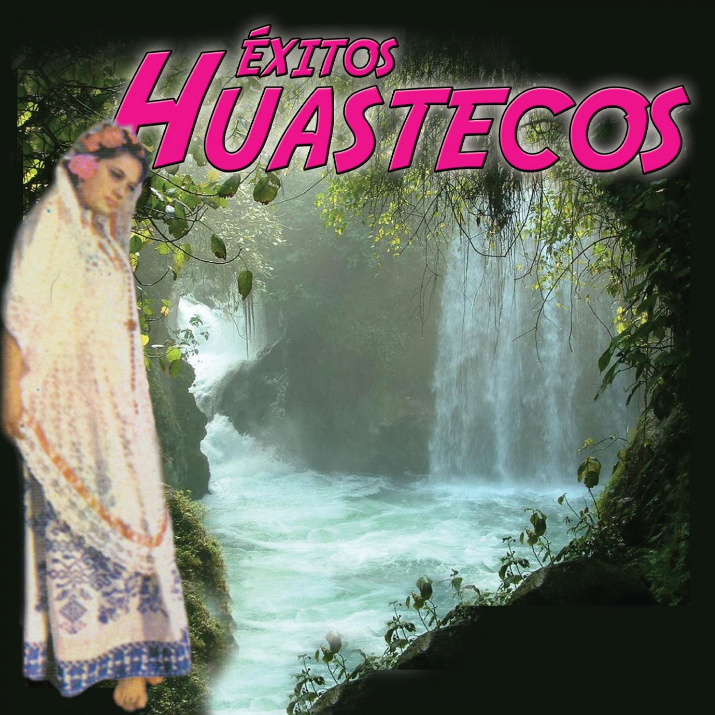 Éxitos Huastecos